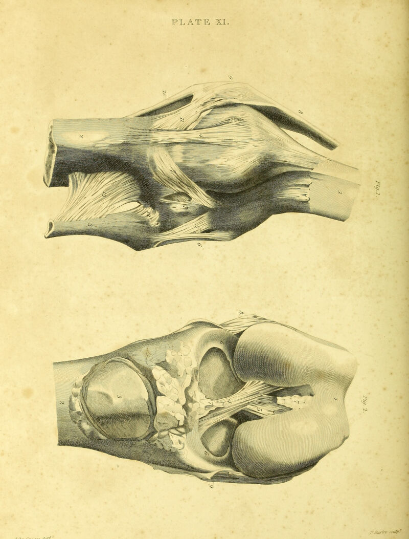 ... J.,7t J?Easire sa&jk