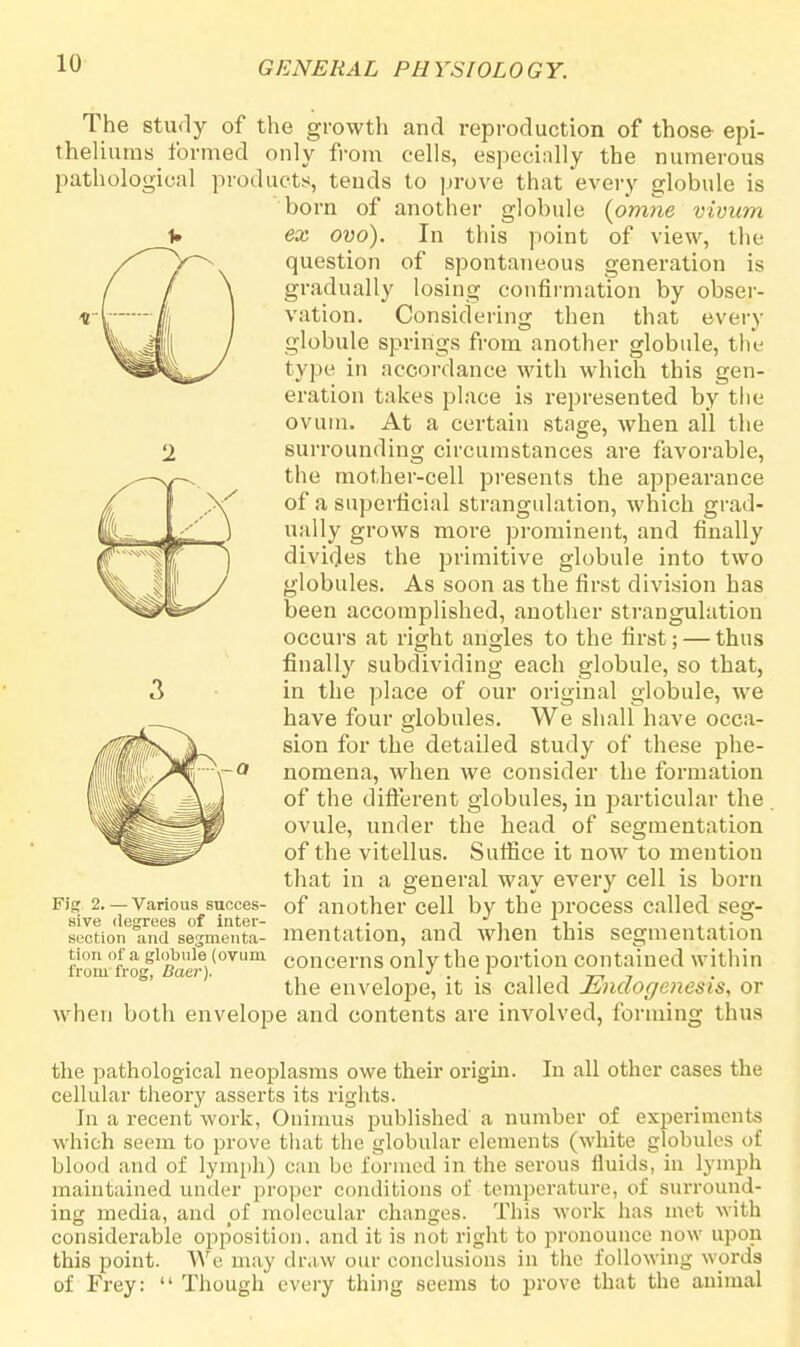 The study of the growth and reproduction of those epi- thelium^ formed only from cells, especially the numerous pathological products, tends to prove that every globule is born of another globule {pmne vivum ex ovo). In this point of view, the question of spontaneous generation is gradually losing confirmation by obser- vation. Considering then that every globule springs from another globule, the type in accordance with which this gen- eration takes place is represented by the ovum. At a certain stage, when all the surrounding circumstances are favorable, the mother-cell presents the appearance of a superficial strangulation, which grad- ually grows more prominent, and finally divides the primitive globule into two globules. As soon as the first division has been accomplished, another strangulation occurs at right angles to the first; — thus finally subdividing each globule, so that, in the place of our original globule, we have four globules. We shall have occa- sion for the detailed study of these phe- nomena, when we consider the formation of the different globules, in particular the . ovule, under the head of segmentation of the vitellus. Suffice it now to mention that in a general way every cell is born of another cell by the process called seg- mentation, and when this segmentation concerns only the portion contained within the envelope, it is called Enclogenesis, or when both envelope and contents are involved, forming thus Fig 2. — Various succes- sive degrees of inter- section and segmenta- tion of a globule (ovum from frog, Baer). the pathological neoplasms owe their origin. In all other cases the cellular theory asserts its rights. In a recent work, Onimus published' a number of experiments which seem to prove that the globular elements (white globules of blood and of lymph) can be formed in the serous fluids, in lymph maintained under proper conditions of temperature, of surround- ing media, and pf molecular changes. This work has met with considerable opposition, and it is not right to pronounce now upon this point. We may draw our conclusions in the following w ords of Frey:  Though every thing seems to prove that the animal