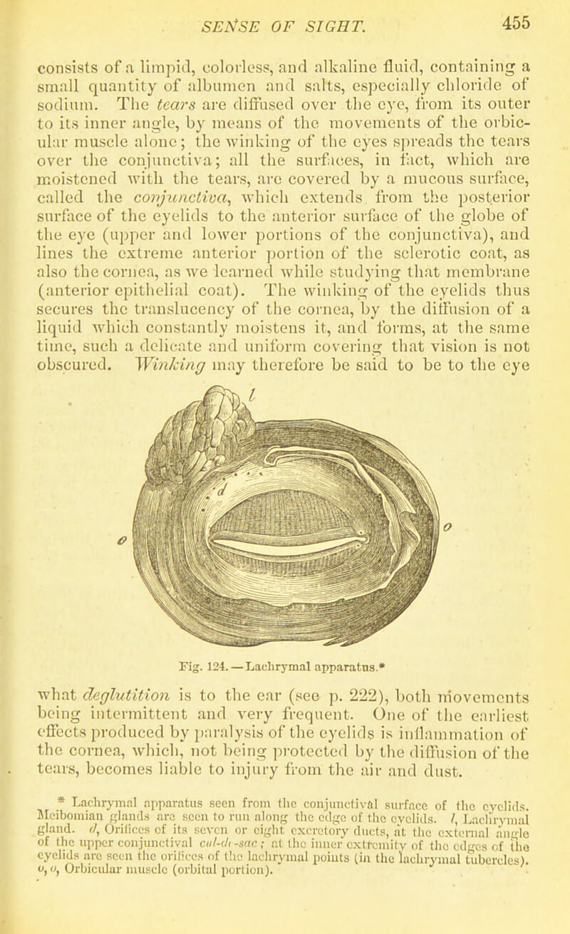 consists of a, limpid, colorless, and alkaline fluid, containing a small quantity of albumen and salts, especially chloride of sodium. The tears are diffused over the eye, from its outer to its inner angle, by means of the movements of the orbic- ular muscle alone; the winking of the eyes spreads the tears over the conjunctiva; all the surfaces, in tact, which are moistened with the tears, are covered by a mucous surface, called the conjunctiva, which extends from the posterior surface of the eyelids to the anterior surface of the globe of the eye (upper anil lower portions of the conjunctiva), and lines the extreme anterior portion of the sclerotic coat, as also the cornea, as we learned while studying that membrane (anterior epithelial coat). The winking of the eyelids thus secures the translucency of the cornea, by the diffusion of a liquid which constantly moistens it, and forms, at the same time, such a delicate and uniform covering that vision is not obscured. Winking may therefore be said to be to the eye Tig. 124. — Lachrymal apparatus.* what deglutition is to the ear (see p. 222), both movements being intermittent and very frequent. One of the earliest, effects produced by paralysis of the eyelids is inflammation of the cornea, which, not being protected by the diffusion of the tears, becomes liable to injury fr om the air and dust. * Lachrymal apparatus seen from the conjunctival surface of the eyelids. Meibomian glands are seen to run along the edge of the eyelids. /, Lachrymal gland. (I, Orifices of its seven or eight excretory ducts, at the external angle of the upper conjunctival cu/-<ti-snc; at the inner extremity of the edges of tho eyelids arc seen the orifices of the lachrymal points (in the lachrymal tubercles). o, i), Orbicular muscle (orbital portion).