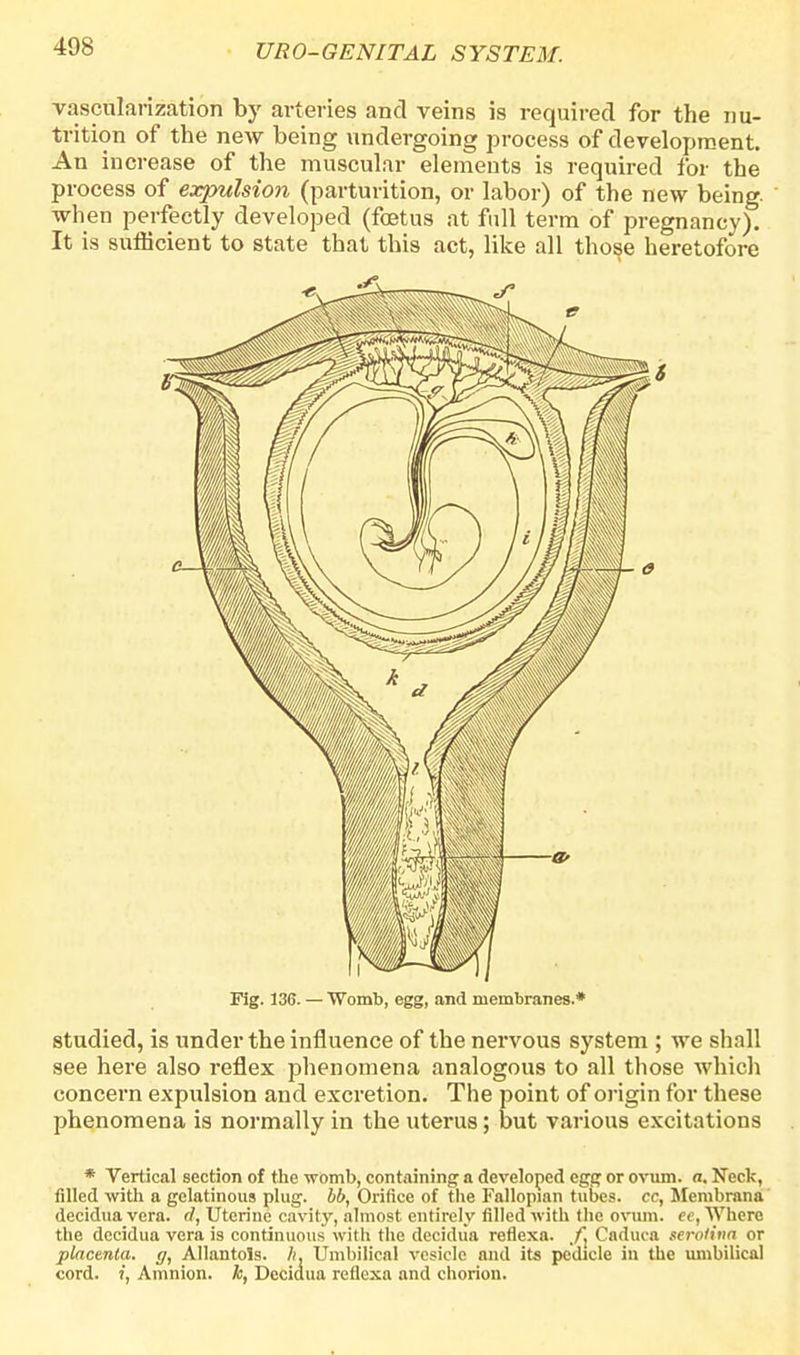 vascularization by arteries and veins is required for the nu- trition of the new being undergoing process of development. An increase of the muscular elements is required for the process of expulsion (parturition, or labor) of the new being when perfectly developed (foetus at full term of pregnancy). It is sufficient to state that this act, like all those heretofore Fig. 136. — Womb, egg, and membranes.^ studied, is under the influence of the nervous system ; we shall see here also reflex phenomena analogous to all those which concern expulsion and excretion. The point of origin for these phenomena is normally in the uterus; but various excitations * Vertical section of the womb, containing- a developed egg or ovum, a. Neck, filled with a gelatinous plug, bb, Orifice of the Fallopian tubes, cc, Membrana decidua vera, d, Uterine cavity, almost entirely filled with the ovum, ec, Where the decidua vera is continuous with the decidua reflexa. fx Caduca serolina or placenta, g, Allantols. Ii, Umbilical vesicle and its pedicle in the umbilical cord. ?, Amnion, k, Decidua reflexa and chorion.