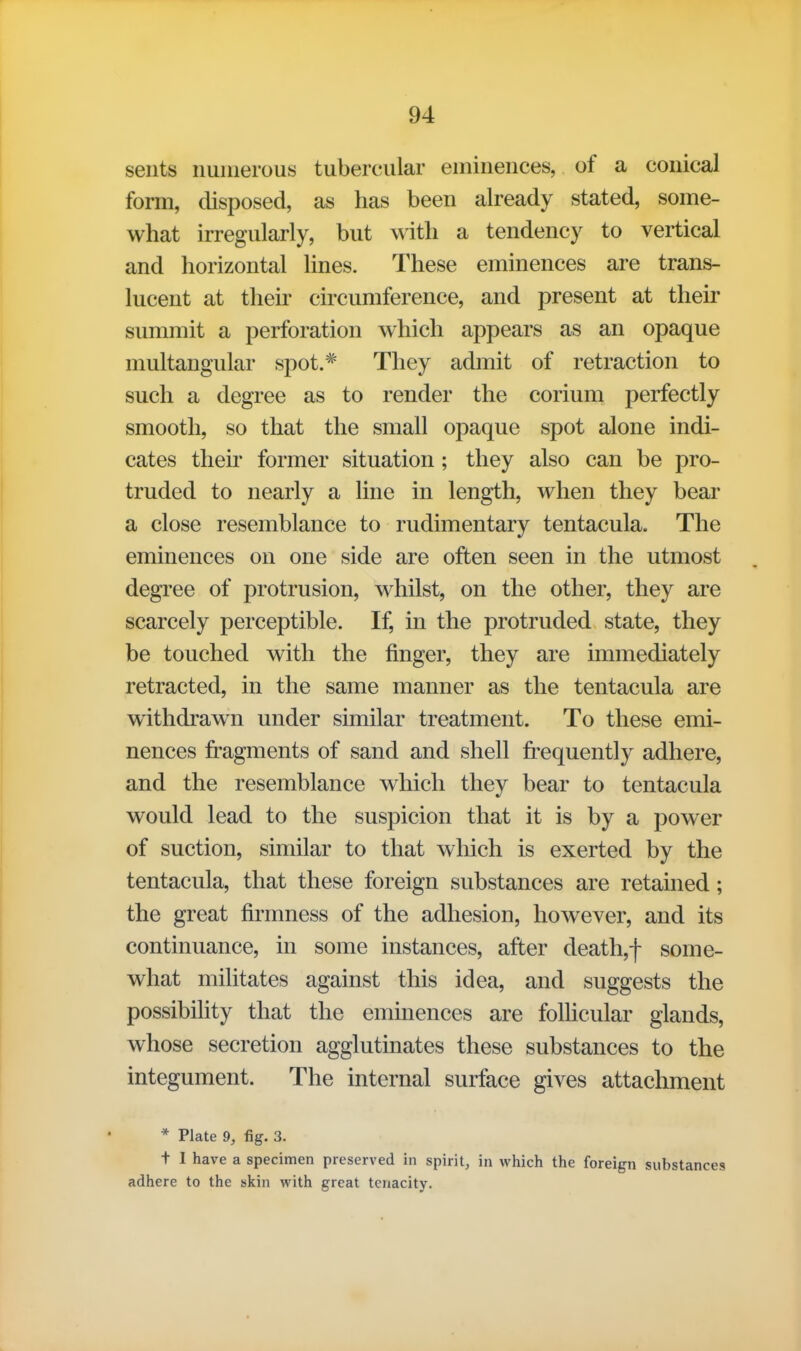 seiits numerous tubercular eminences, of a conical form, disposed, as has been already stated, some- what irregularly, but with a tendency to vertical and horizontal Hnes. These eminences are trans- lucent at then- circumference, and present at their summit a perforation which appears as an opaque multangular spot.* They admit of retraction to such a degree as to render the corium perfectly smooth, so that the small opaque spot alone indi- cates then' former situation; they also can be pro- truded to nearly a line in length, when they bear a close resemblance to rudimentary tentacula. The eminences on one side are often seen in the utmost degree of protrusion, whilst, on the other, they are scarcely perceptible. If, in the protruded state, they be touched with the finger, they are immediately retracted, in the same manner as the tentacula are withdrawn under similar treatment. To these emi- nences fragments of sand and shell fi^equently adhere, and the resemblance which they bear to tentacula would lead to the suspicion that it is by a power of suction, similar to that which is exerted by the tentacula, that these foreign substances are retained; the great firmness of the adhesion, however, and its continuance, in some instances, after death,f some- what militates against this idea, and suggests the possibihty that the eminences are follicular glands, whose secretion agglutinates these substances to the integument. The internal surface gives attachment * Plate 9, fig. 3. t I have a specimen preserved in spirit, in which the foreign substances adhere to the skin with great tenacity.