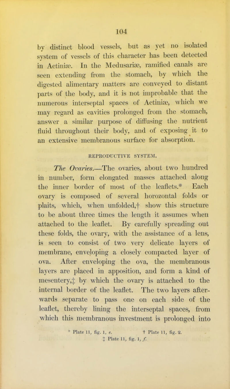 by distinct blood vessels, but as yet no isolated system of vessels of this character has been detected in Actiniae. In the Medusariae, ramified canals are seen extending from the stomach, by which the digested alimentary matters are conveyed to distant parts of the body, and it is not improbable that the numerous interseptal spaces of Actiniae, which we may regard as cavities prolonged from the stomach, answer a similar purpose of diffusing the nutrient fluid throughout their body, and of exposing it to an extensive membranous surface for absorption. REPRODUCTIVE SYSTEM. The Ovaries.—The ovaries, about two hundred in number, form elongated masses attached along the inner border of most of the leaflets.* Each ovary is composed of several liorozontal folds or plaits, which, when unfolded,f show this structure to be about three times the length it assumes when attached to the leaflet. By carefully spreading out these folds, the ovary, with the assistance of a lens, is seen to consist of two very delicate layers of membrane, enveloping a closely compacted layer of ova. After enveloping the ova, the membranous layers are placed in apposition, and form a kind of mesentery,^ by which the ovary is attached to the internal border of the leaflet. The two layers after- wards separate to pass one on each side of the leaflet, thereby lining the interseptal spaces, from which this membranous investment is prolonged into * Plate 11, fig. 1, e. t Plate 11, fig. 2. t Plate 11, fig. 1,/.