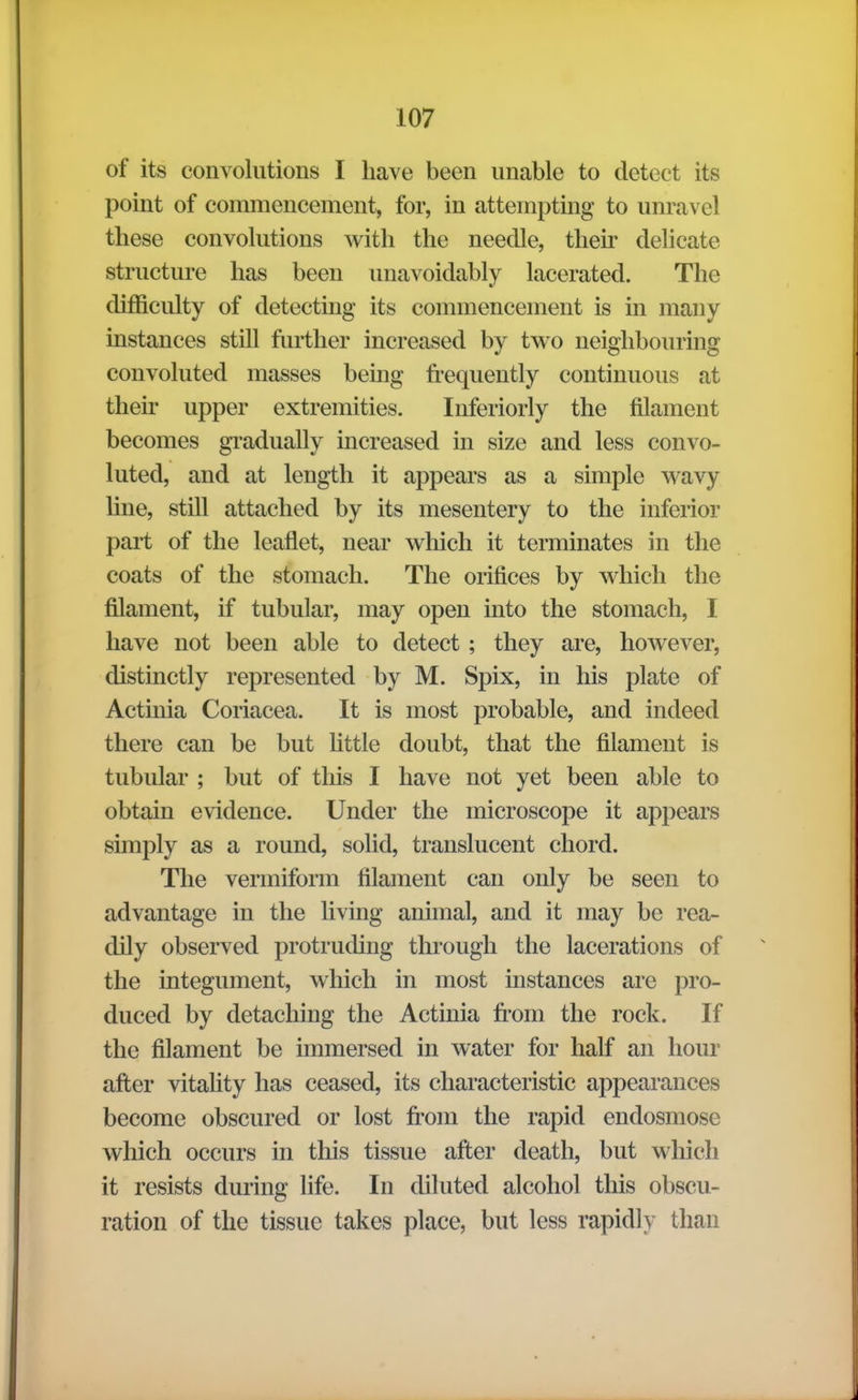 of its convolutions I have been unable to detect its point of commencement, for, in attempting to unravel these convolutions with the needle, their delicate structure has been unavoidably lacerated. The difficulty of detecting its commencement is in many instances still further increased by two neighbouring convoluted masses being frequently continuous at their upper extremities. Inferiorly the filament becomes gradually increased in size and less convo- luted, and at length it appears as a simple wavy line, still attached by its mesentery to the inferior part of the leaflet, near which it terminates in the coats of the stomach. The orifices by which the filament, if tubular, may open into the stomach, I have not been able to detect ; they are, however, distinctly represented by M. Spix, in his plate of Actinia Coriacea. It is most probable, and indeed there can be but Httle doubt, that the filament is tubular ; but of this I have not yet been able to obtain evidence. Under the microscope it appears simply as a round, solid, translucent chord. The vermiform filament can only be seen to advantage in the living animal, and it may be rea- dily observed protruding through the lacerations of the integument, which in most instances arc pro- duced by detaching the Actinia from the rock. If the filament be immersed in water for half an hour after vitality has ceased, its characteristic appearances become obscured or lost from the rapid endosmose which occurs in this tissue after death, but which it resists during life. In diluted alcohol this obscu- ration of the tissue takes place, but less rapidly than