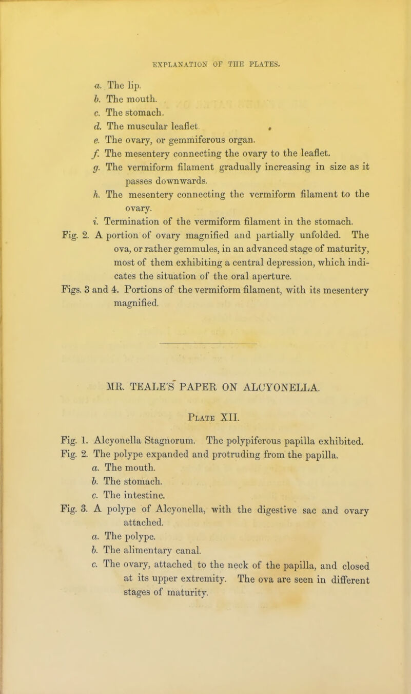 EXPLANATION OF THE PLATES. a. The lip. b. The mouth. c. The stomach. d. The muscular leaflet. « e. The ovary, or gemmiferous organ. /. The mesentery connecting the ovary to the leaflet. g. The vermiform filament gradually increasing in size as it passes downwards. h. The mesentery connecting the vermiform filament to the ovary. i. Termination of the vermiform filament in the stomach. Fig. 2. A portion of ovary magnified and partially unfolded. The ova, or rather gemmules, in an advanced stage of maturity, most of them exhibiting a central depression, which indi- cates the situation of the oral aperture. Figs. 3 and 4. Portions of the vermiform filament, with its mesentery magnified. MR. TEALE'S' PAPER ON ALCYONELLA. Plate XII. Fig. 1. Alcyonella Stagnorum. The polypiferous papilla exhibited. Fig. 2. The polype expanded and protruding from the papilla. a. The mouth. h. The stomach. c. The intestine. Fig. 3. A polype of Alcyonella, with the digestive sac and ovary attached. a. The polype. b. The alimentary canal. c. The ovary, attached to the neck of the papilla, and closed at its upper extremity. The ova are seen in different stages of maturity.