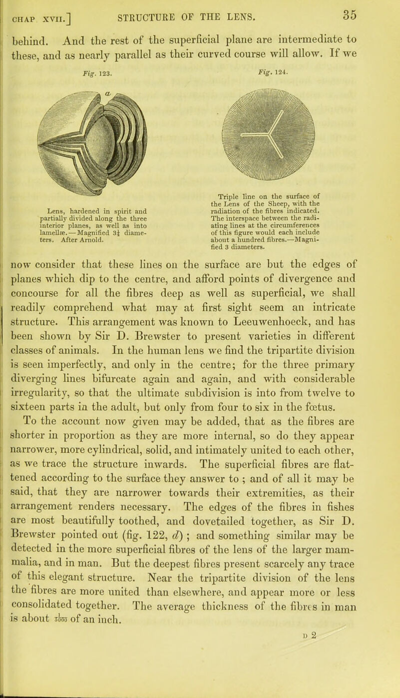 behind. And the rest of the superficial plane are intermediate to these, and as nearly parallel as their curved course will allow. If we Fig. 123. Fig. 124. Lens, hardened in spirit and partially divided along the three interior planes, as well as into lameUie. — Magnified 34 diame- ters. After Arnold. Triple line on the surface of the Lens of the Sheep, with the radiation of the fibres indicated. The interspace between the radi- ating lines at the circumferences of this figure would each include about a hundred fibres.—Magni- fied 3 diameters. now consider that these lines on the surface are but the edges of planes which dip to the centre, and afford points of divergence and concourse for all the fibres deep as well as superficial, we shall readily comprehend what may at first sight seem an intricate structure. This arrangement was known to Leeuwenhoeck, and has been shown by Sir D. Brewster to present varieties in different classes of animals. In the human lens we find the tripartite division is seen imperfectly, and only in the centre; for the three primary diverging lines bifurcate again and again, and with considerable irregularity, so that the ultimate subdivision is into from twelve to sixteen parts in the adult, but only from four to six in the fffitus. To the account now given may be added, that as the fibres are shorter in proportion as they are more internal, so do they appear narrower, more cylindrical, solid, and intimately united to each other, as we trace the structure inwards. The superficial fibres are flat- tened according to the surface they answer to ; and of all it may be said, that they are narrower towards their extremities, as their arrangement renders necessary. The edges of the fibres in fishes are most beautifully toothed, and dovetailed together, as Sir D. Brewster pointed out (fig. 122, d) ; and something similar may be detected in the more superficial fibres of the lens of the larger mam- malia, and in man. But the deepest fibres present scarcely any trace of this elegant structure. Near the tripartite division of the lens the fibres are more united than elsewhere, and appear more or less consolidated together. The average thickness of the fibres in man is about 3TO of an inch. 1) 2