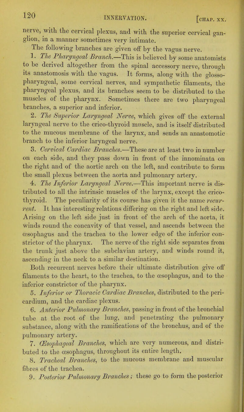 nerve, with the cervical plexus, and with the superior cervical gan- glion, in a manner sometimes very intimate. The following branches are given off by the vagus nerve. 1. The Pharyngeal Branch.—This is believed by some anatomists to be derived altogether from the spinal accessory nerve, through its anastomosis with the vagus. It forms, along with the glosso- pharyngeal, some cervical nerves, and sympathetic filaments, the pharyngeal plexus, and its branches seem to be distributed to the muscles of the pharynx. Sometimes there are two pharyngeal branches, a superior and inferior. 2. The Superior Laryngeal Nerve, which gives off the external laryngeal nerve to the crico-thyroid muscle, and is itself distributed to the mucous membrane of the larynx, and sends an anastomotic branch to the inferior laryngeal nerve. 3. Cervical Cardiac Brandies.—These are at least two in number on each side, and they pass down in front of the innominata on the right and of the aortic arch on the left, and contribute to form the small plexus between the aorta and pulmonary artery. 4. The Inferior Laryngeal Nerve.—This important nerve is dis- tributed to all the intrinsic muscles of the larynx, except the crico- thyroid. The peculiarity of its course has given it the name recur- rent. It has interesting relations differing on the right and left side. Arising on the left side just in front of the arch of the aorta, it winds round the concavity of that vessel, and ascends between the oesophagus and the trachea to the lower edge of the inferior con- strictor of the pharynx. The nerve of the right side separates from the trunk just above the subclavian artery, and winds round it, ascending in the neck to a similar destination. Both recurrent nerves before their ultimate distribution give off filaments to the heart, to the trachea, to the oesophagus, and to the inferior constrictor of the pharynx. 5. Inferior or Thoracic Cardiac Branches, distributed to the peri- cardium, and the cardiac plexus. 6. Anterior Pulmonary Branches, passing in front of the bronchial tube at the root of the lung, and penetrating the pulmonary substance, along with the ramifications of the bronchus, and of the pulmonary artery. 7. Oesophageal Branches, which are very numerous, and distri- buted to the ocsophag-us, throughout its entire length. 8. Tracheal Branches, to the mucous membrane and muscular fibres of the trachea. 9. Posterior Pulmonary Brandies; these go to form the posterior