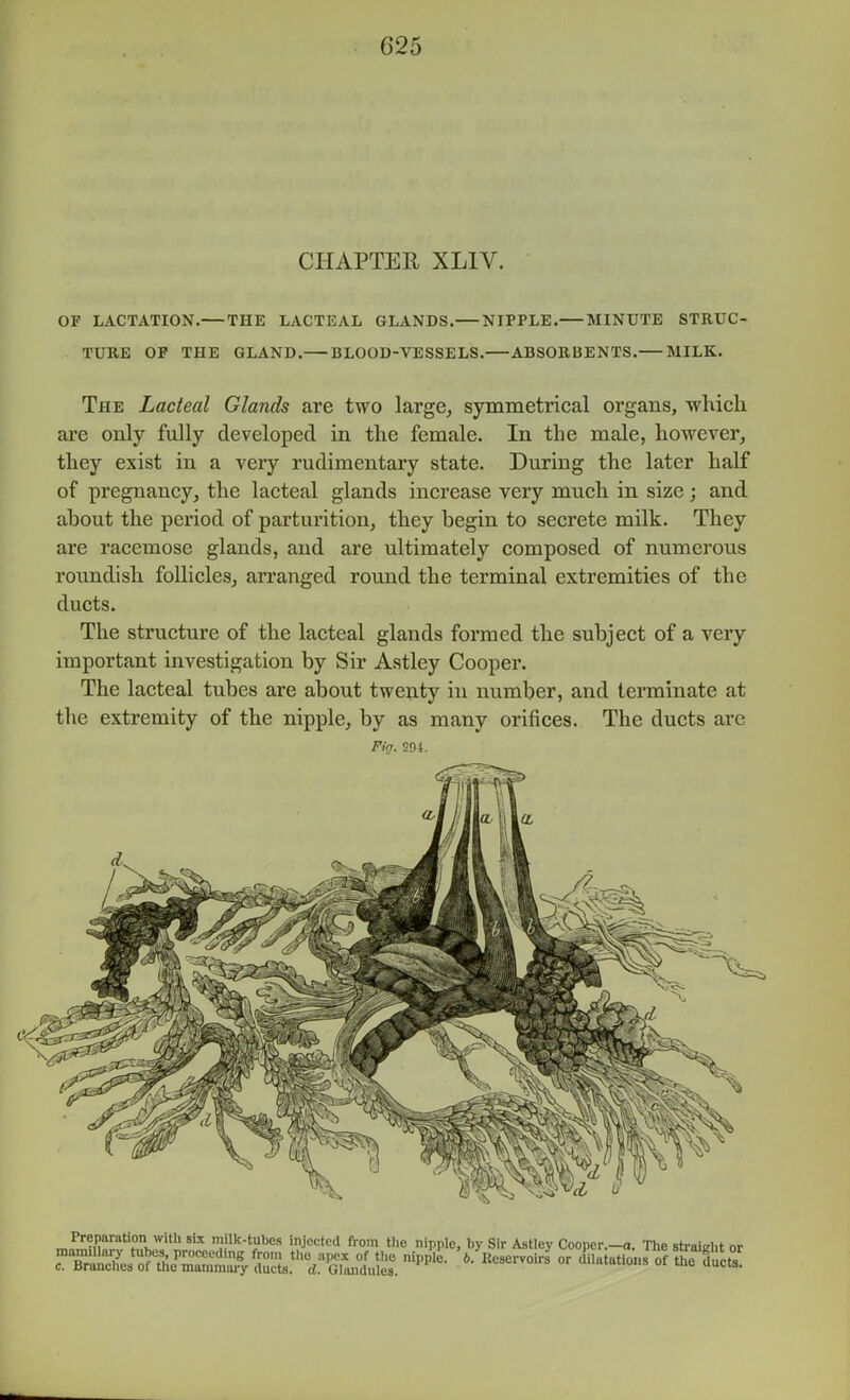 CHAPTER XLIV. OF LACTATION.—THE LACTEAL GLANDS. NIPPLE. MINUTE STRUC- TURE OP THE GLAND. BLOOD-VESSELS. ABSORBENTS. MILK. The Lacteal Glands are two large, symmetrical organs, -whicli are only fully developed in the female. In the male, however^ they exist in a very rudimentary state. During the later half of pregnancy, the lacteal glands increase very much in size; and about the period of parturition, they begin to secrete milk. They are racemose glands, and are ultimately composed of numerous roundish follicles, arranged round the terminal extremities of the ducts. The structure of the lacteal glands formed the subject of a very important investigation by Sir Astley Cooper. The lacteal tubes are about twenty in number, and terminate at the extremity of the nipple, by as many orifices. The ducts are Fir/. 2nt. Preparation with 8W milk-tubes Injected fi-om the nipple, by Sir Astley Cooper.—a. The sb-aieht or