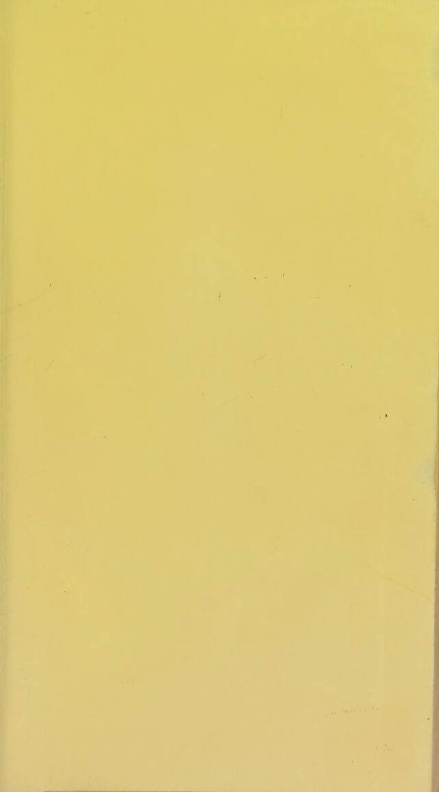 digitised image 3