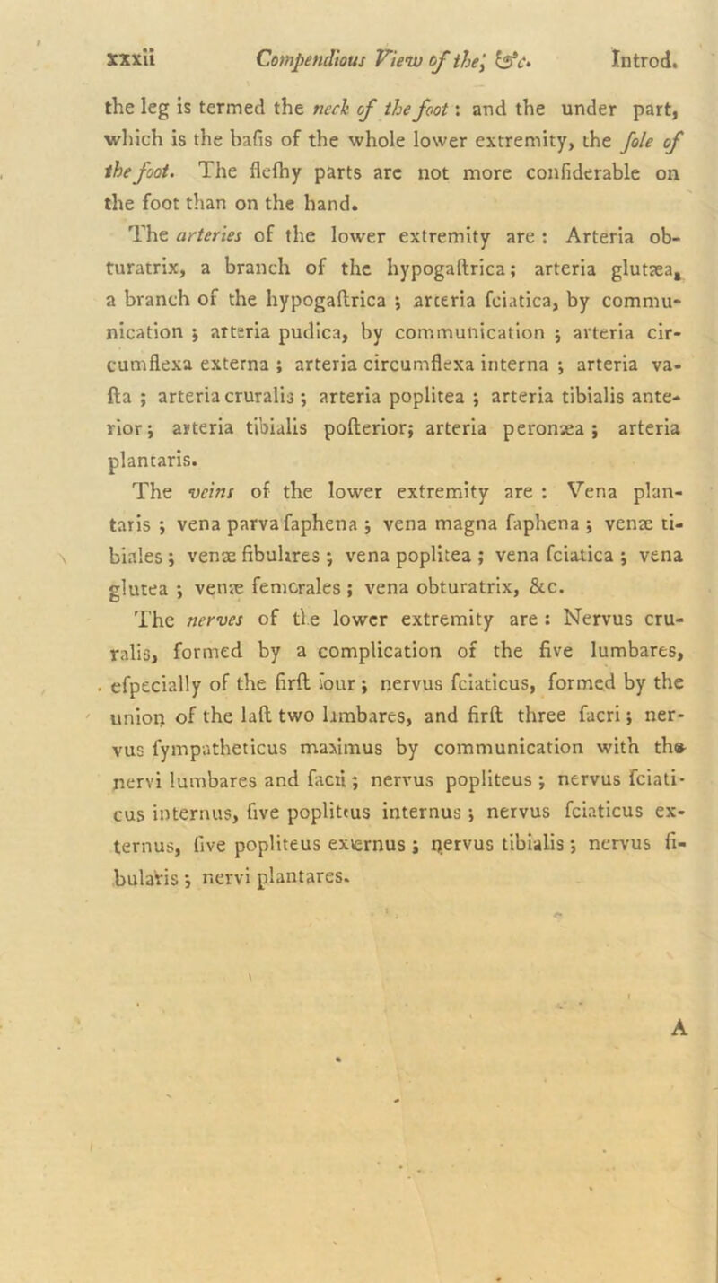 the leg is termed the neck of the foot: and the under part, which is the bafis of the whole lower extremity, the foie of the foot. The flelhy parts arc not more confiderable on the foot than on the hand. The arteries of the lower extremity are : Arteria ob- turatrix, a branch of the hypogaftrica; arteria gluttea, a branch of the hypogaftrica *, arteria fciatica, by commu- nication ; arteria pudica, by communication ; arteria clr- cumflexa externa ; arteria circumflexa interna ; arteria va- fta ; arteria cruralis ; arteria poplitea ; arteria tibialis ante- rior j arteria tibialis pofterior; arteria peronsea ; arteria plantaris. The veins of the lower extremity are : Vena plan- taris ; vena parvafaphena j vena magna faphena ; venae ti- \ biales ; venae fibuhres ; vena poplitea ; vena fciatica ; vena glutea j venae femcrales; vena obturatrix, &c. The nerves of tl e lower extremity are : Nervus cru- ralis, formed by a complication of the five lumbares, . efpecially of the hrft four; nervus fciaticus, formed by the ' union of the laft two limbares, and firft three facri; ner- vus fympatheticus maiimus by communication with th«- nervi lumbares and facii; nervus popliteus *, nervus fciati- cus internus, five poplittus internus; nervus fciaticus ex- ternus, live popliteus exiernus i nervus tibialis ; nervus fi- .bulaVis i nervi plantares* \