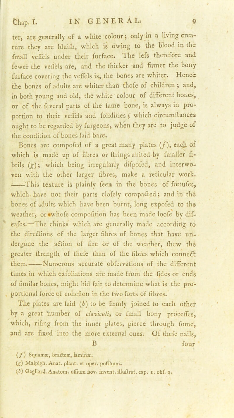 ter, are generally of a white colour; only in a living crea- ture they are bluifli, which is owing to the blood in the fmall veflTcls under their furface. The lefs therefore and fewer the veflels are, and the thicker and firmer the bony furface covering the veflels is, the bones are whiter. Hence the bones of adults are whiter than thofe of children ; and, in both young and old, the white colour of different bones, or of the feveral parts of the fame bone, is always in pro- portion to their veifels and folidities which circumflances ought to be regarded by furgeons, when they are to judge of the condition of bones laid bare. Bones are compofed of a great many plates (/), each of which Is made up of fibres or firings united by fmaller fi- brils (g); w'hich being irregularly difpofcd, and interwo- ven with the other larger fibres, make a reticular work. This texture is plainly feeii in the bones of foetufes, which have not their parts clofely compacted; and in the bones of adults which have been burnt, long expofed to the weather, or«whofe compofition has been made loofe by dif- eafes.—The chinks which are generally made according to the diredlions of the larger fibres of bones that have un- dergone the adtion of fire or of the weather, fhew the greater ftrength of thefe than of the fibres which connedt them. Numerous accurate obfcrvations of the different times in which exfoliations are made from the fides or ends of fimilar bones, might bid fair to determine what is the pro- , portional force of cohefion in the two forts of fibres. The plates are faid (/j) to be firmly joined to each other by a great fiumber of clavicull, or fmall bony proccffes, which, rifing from the inner plates, pierce through fome, and are fixed into the more external ones. Of thefe nails, B four ' (/) Squamas, braftcae, laminae. Q;) Malpigh. Anat. plant, et oper. pofthum. (t>) Gagliard. Anatom, oflium oov. invent, illuftrat, cap. i. obf. a,