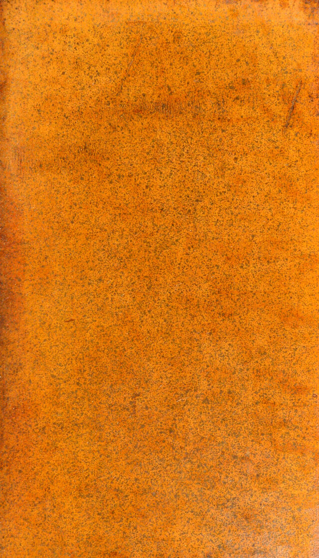 digitised image 1