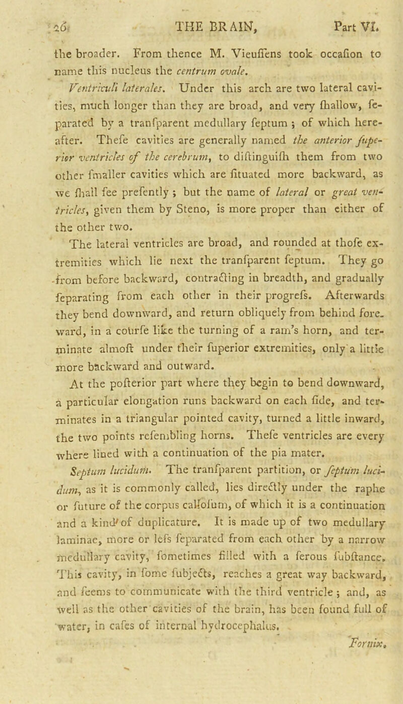 the broader. From thence M. Vieufiens took occafion to name this nucleus the centrum ovale. Ventrkuli laterales. Under this arch are two lateral cavi- ties, much longer than they are broad, and very thallow, fc- parated by a tran(parent medullary feptum ; of which here- after. Thefe cavities are generally named the anterior fupe- rior ventricles of the cerebrum, to diftinguifh them from two other fmaller cavities which are fituated more backward, as we fhall fee prefently ; but the name of lateral or great ven- tricles, given them by Steno, is more proper than cither of the other two. The lateral ventricles are broad, and rounded at thofe ex- tremities which lie next the tranfparent feptum. They go -from before backward, contrafling in breadth, and gradually feparating from each other in their progrefs. Afterwards they bend downward, and return obliquely from behind fore- ward, in a colirfe like the turning of a ram’s horn, and ter- minate almoft under their fuperior extremities, only a little more backward and outward. At the pofterior part where they begin to bend downward, a particular elongation runs backward on each fide, and ter- minates in a triangular pointed cavity, turned a little inward, the two points refembling horns. Thefe ventricles are every where lined with a continuation of the pia mater. Septum lucidurh. The tranfparent partition, or feptum luci- dum, as it is commonly called, lies direflly under the raphe or future of the corpus calTofum, of which it is a continuation and a kind'of duplicature. It is made up of two medullary laminae, more or lefs feparated from each other by a narrow medullary cavity, fometimes filled with a ferous fubftance. This cavity, in fome fubjefb, reaches a great way backward, and feems to communicate with the third ventricle ; and, as Well as the other cavities of the brain, has been found full of water, in cafes of internal hydrocephalus. Fornix,