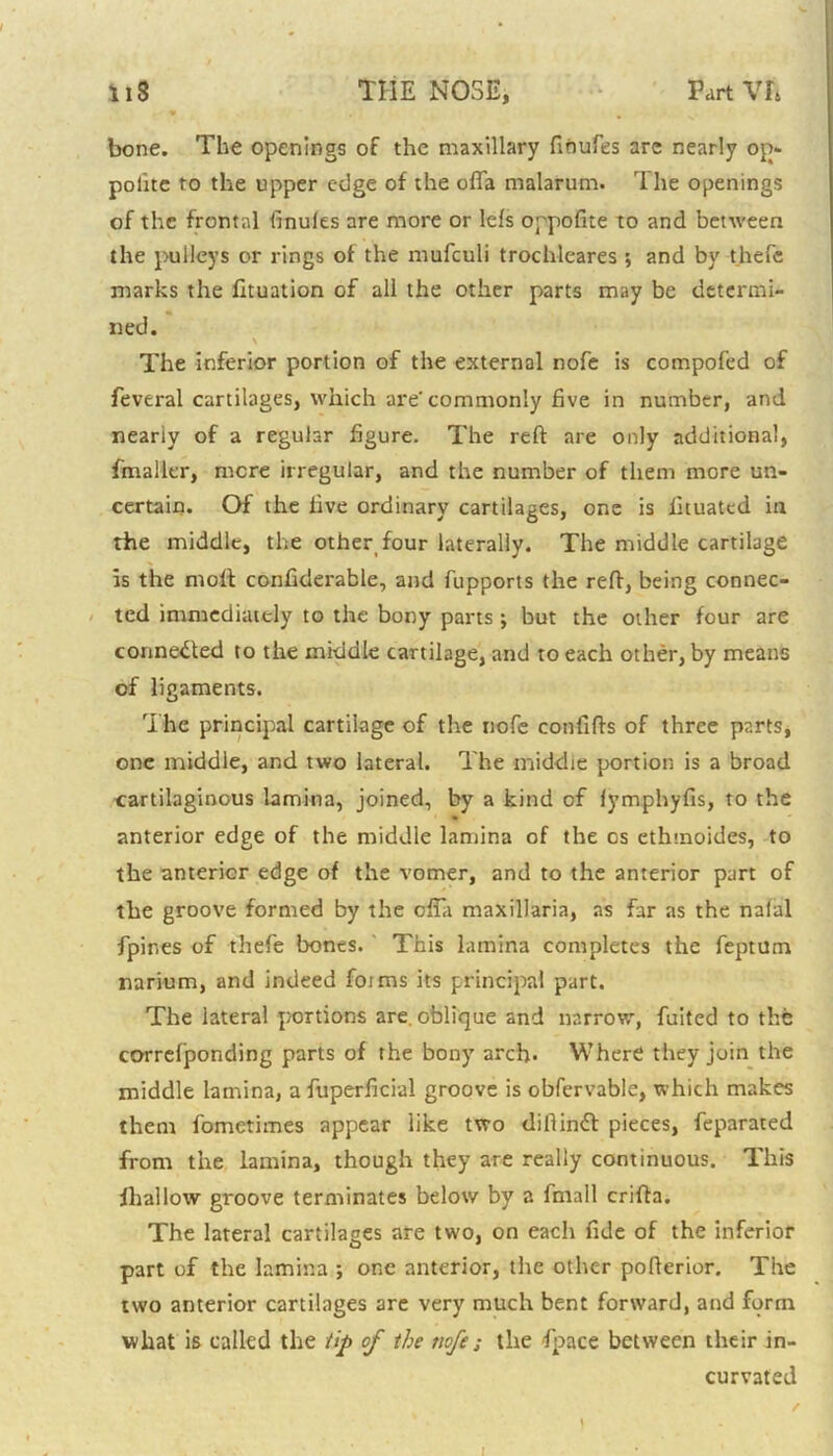 bone. The openings of the maxillary fioufes are nearly op* polite to the upper edge of the offa malarum. The openings of the frontal Unities are more or Ids oppofite to and between the pulleys or rings of the mufculi trochleares ; and by thefe marks the fltuation of all the other parts may be determi- ned. \ The inferior portion of the external nofe is compofed of feveral cartilages, which are'commonly five in number, and nearly of a regular figure. The reft are only additional, fmaller, mere irregular, and the number of them more un- certain. Of the five ordinary cartilages, one is fituated in the middle, the other four laterally. The middle cartilage is the molt confiderable, and fupports the reft, being connec- ted immediately to the bony parts ; but the other four are connected to the middle cartilage, and to each other, by means of ligaments. The principal cartilage of the nofe confifts of three parts, one middle, and two lateral. The middie portion is a broad cartilaginous lamina, joined, by a kind of fymphyfis, to the anterior edge of the middle lamina of the os ethmoides, to the anterior edge of the vomer, and to the anterior part of the groove formed by the efta maxillaria, as far as the nafal fpir.es of thefe bones. This lamina completes the feptum mrium, and indeed foims its principal part. The lateral portions are. oblique and narrow, fuited to the correljponding parts of the bony arch- Where they join the middle lamina, a fuperficial groove is obfervable, which makes them fometimes appear like two diftinft pieces, feparated from the lamina, though they are really continuous. This ihallow groove terminates below by a fmall crifta. The lateral cartilages are two, on each fide of the inferior part of the lamina ; one anterior, the other pofterior. The two anterior cartilages are very much bent forward, and form what is called the tip of the nofe; the fipace between their in- curvated