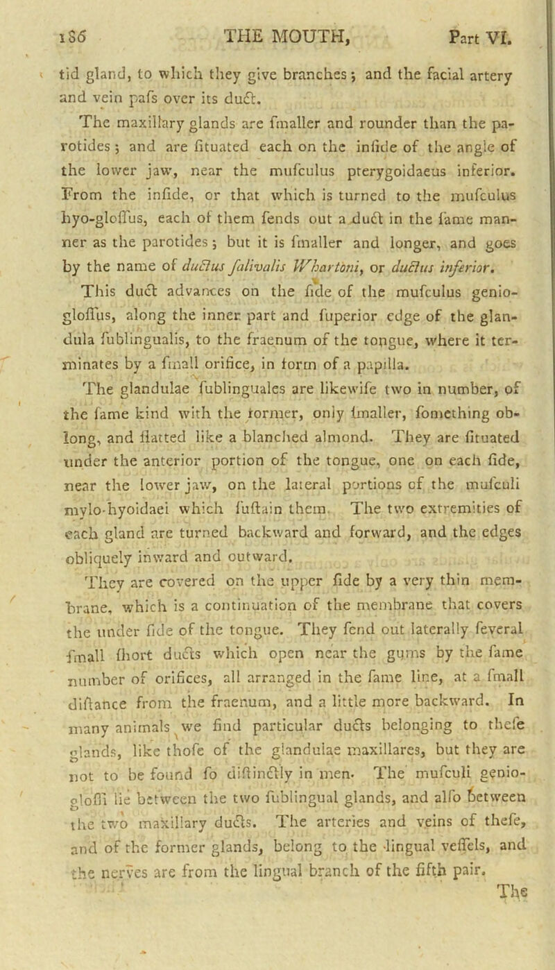 tid gland, to which they give branches; and the facial artery and vein pafs over its du£l. The maxillary glands are fmaller and rounder than the pa- rotides ; and are fituated each on the inlide of the angle of the lower jaw, near the mufculus prerygoidaeus inferior. From the infide, or that which is turned to the mufculus liyo-gloflus, each ot them fends out a duct in the lame man- ner as the parotides; but it is fmaller and longer, and goes by the name of duElus falivalis Whartbni, or duchts inferior. This duct advances on the fide of the mufculus genio- glofius, along the inner part and fuperior edge of the glan- dula fublingualis, to the fraenum of the tongue, where it ter- minates by a fmall orifice, in form of a papilla. The glandulae fublinguales are likewife two in number, of the fame kind with the rormer, oniy Imaller, foniething ob- long, and Hatted like a blanched almond. They are fituated under the anterior portion of the tongue, one on each fide, near the lower jaw, on the lateral portions of the mufculi mylo-hyoidaei which fuflain them. The two extremities of each gland are turned backward and forward, and the edges obliquely inward and outward. They are covered on the upper fide by a very thin mem- brane, which is a continuation of the membrane that covers the under fide of the tongue. They fend out laterally feveral fmall fhort duels which open near the gums by the fame number of orifices, all arranged in the fame line, at a fmall diftance from the fraenum, and a little more backward. In many animals ^ we find particular duels belonging to thefe glands, like thofe of the glandulae maxillares, but they are not to be found fo diflinclly in men- The mufculi genio- plofli lie between the two fublingual glands, and alfo between the two maxillary du£ls. The arteries and veins of thefe, and of the former glands, belong to the -lingual veffels, and the nerves are from the lingual branch of the fifth pair.