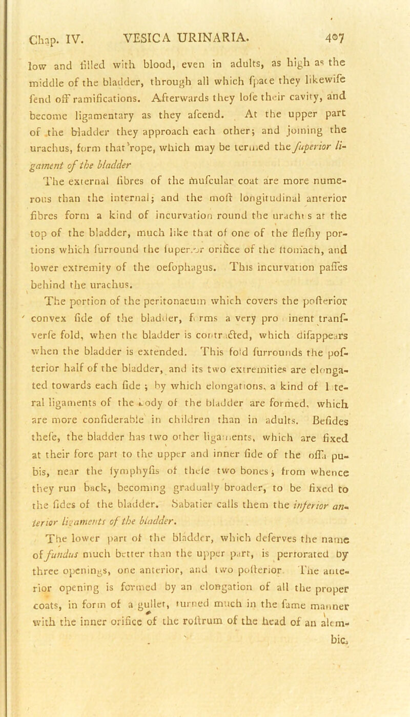 low and filled with blood, even in adults, as high as the middle of the bladder, through all which fpace they likewife fend off ramifications. Afterwards they lole their cavity, and become ligamentary as they afcend. At the upper part of the bladder they approach each other; and joining the urachus, form that'rope, which may be termed the fuperior li- gament of the bladder The external fibres of the fnufcular coat are more nume- rous than the internal; and the moll longitudinal anterior fibres form a kind of incurvation round the uracht s at the * top of the bladder, much like that of one of the flelhy por- tions which furround the iuper.'jr orifice of the Itoniach, and lower extremity of the oefophagus. This incurvation paffes behind the urachus. V The portion of the peritonaeum which covers the pofterior ' convex fide of the bladder, f rms a very pro inent tranfi. verfie fold, when the bladder is contncied, which difappears when the bladder is extended. This fold furrounds the pos- terior half of the bladder, and its two extremities are elonga- ted towards each fide ; by which elongations, a kind of 1 te- ral ligaments of the «,ody of the bladder are formed, which are more confiderabie in children than in adults. Befides thefe, the bladder has two other ligaments, which are fixed at their fore part to the upper and inner fide of the nffi pu- bis, near the iymphyfis of tilde two bones; from whence they run buck, becoming gradually broader, to be fixed to the fidcs of the bladder. .Sabatier calls them the inferior an- terior ligaments of the bladder. The lower part of the bladder, which deferves the name of fundus much better than the upper part, is perrorated by three openings, one anterior, and two poltenor The ante- rior opening is formed by an elongation of all the proper coats, in form of a guiler, turned much in the fame manner with the inner orifice of the roilrum of the head of an alem- bic.