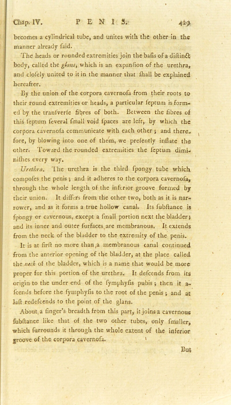 becomes a cylindrical tube, and unites with the other in the manner already laid. The heads or rounded extremities join the balls of a difiinft body, called the gJans, which is an expanfion of the urethra, and clofely united to it in the manner that fhall be explained hereafter. By the union of the corpora cavcrnofa from their roots to their round extremities or heads, a particular feptum is form- ed by the tranfverle fibres of both. Between the fibres of this leptum feveral fmall void fpaces are left, by which the corpora cavernola communicate with each other ; and there- fore, by blowing into one of them, we prelently inflate the other. Toward the rounded extremities the feptum dimi- nilhes every way. Urethra. The urethra is the third fpongy tube which compotes the penis ; and it adheres to the corpora cavernofa, through the whole length of the inferior groove formed by their union. It diftl-rs from the other two, both as it is nar- rower, and as it forms a true hollow canal. Its lubftance is fpongy or cavernous, except a fmall portion next the bladder; and its inner and outer furfaces are membranous. It extends from the neck of the bladder to the extremity of the penis. It is at firfl no more than,a membranous canal continued from the anterior opening of the bladder, at the place called the neck of the bladder, which is a name that would be more proper for this portion of the urethra. It defeends from its origin to the under end of the fymphyfis pubis; then it a- feends before the fymphyfis to the root of the penis ; and at laft redefeends to the point of the glans. About a finger’s breadth from this part, it joins a cavernous fubflance like that of the two other tubes, only fmaller, which furrounds it through the whole extent of the inferior groove of the corpora cavernofa. ' But