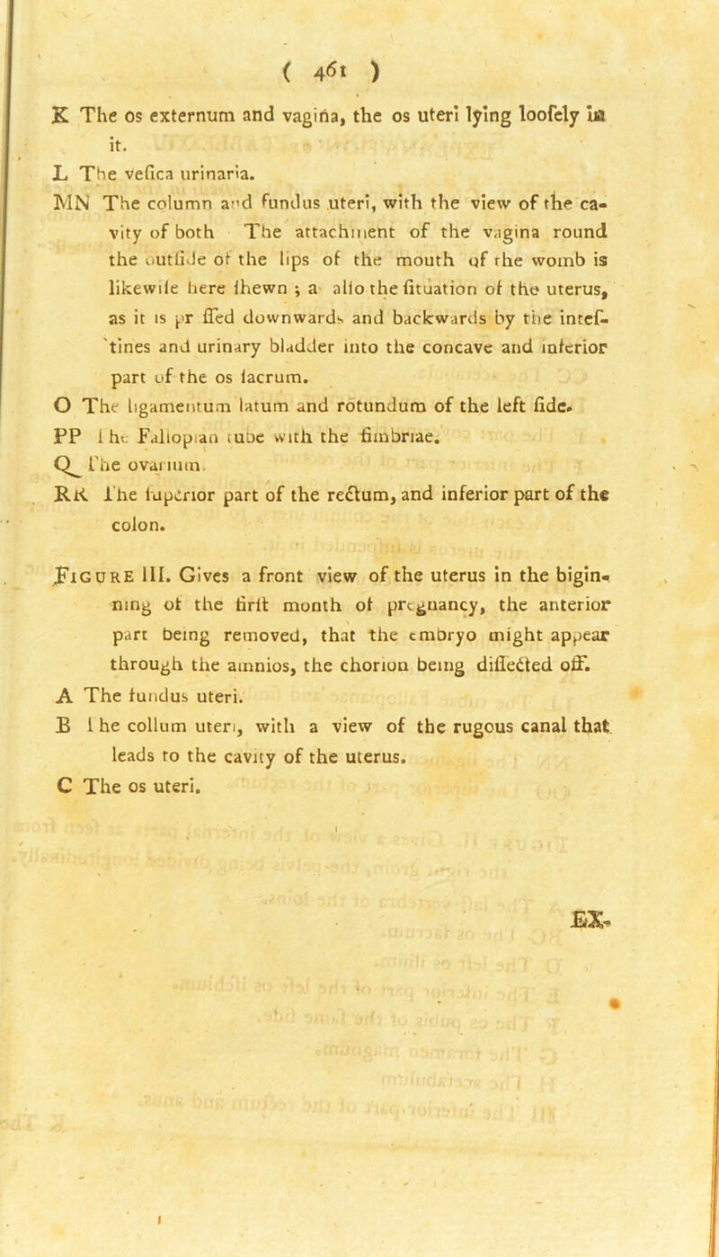 ( 4<5< ) K The os externum and vagina, the os uteri lying loofely ia It. L The vefica urinaria. MN The column and fundus uteri, with the view of the ca- vity of both The attachment of the vagina round the outfiJe ot the lips of the mouth of rhe womb is likewile here Ihewn ; a alio the fituation of the uterus, as it is pr ffed downwards and backwards by the intef- tines and urinary bladder into the concave and inferior part of the os lacrum. O The ligatnentum latum and rotundum of the left fide. PP 1 ho Fallopian iudc with the fimbriae, he ovai mm. RK The lupcrior part of the re£tum, and inferior part of the colon. ^Figure 111. Gives a front view of the uterus in the bigin- ning ot the firlt month of pregnancy, the anterior part being removed, that the embryo might appear through the amnios, the chorion being difieited off. A The fundus uteri. B 1 he collum uteri, with a view of the rugous canal that leads to the cavity of the uterus. C The os uteri. EX- rt'luffsi r- H n '-■m i*,. jj :-h, i j I