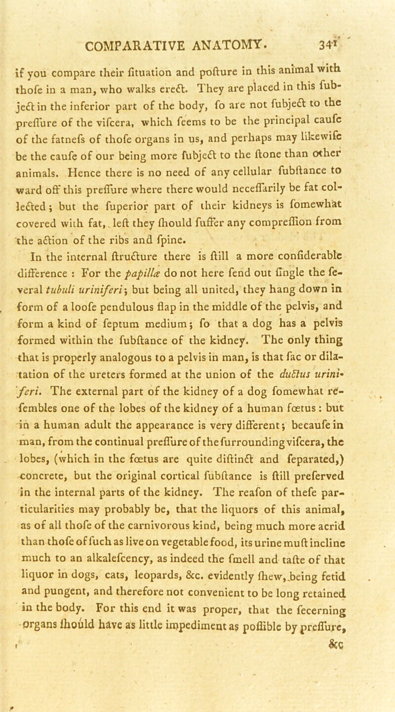 if you compare their fituation and pofture in this animal with thofe in a man, who walks ereft. They are placed in this fub- jeftin the inferior part of the body, fo are not fubjeft to the preflure of the vifcera, which feems to be the principal caufc of the fatnefs of thofe organs in us, and perhaps may likewifc be the caufe of our being more fubjefl to the ftone than other animals. Hence there is no need of any cellular fubftance to ward off this preffure where there would neceffarily be fat col- lefted; but the fuperior part of their kidneys is fomewhat covered with fat,. left they fhould fuffer any compreflion from the aftion of the ribs and fpine. In the internal ftrudture there is ftill a more confiderablc difference ; For the papilla do not here fend out Cngle the fe- veral tubidi uriniferi\ but being all united, they hang down in form of a loofe pendulous flap in the middle of the pelvis, and form a kind of feptum medium; fo that a dog has a pelvis formed within the fubftance of the kidney. The only thing that is properly analogous to a pelvis in man, is that fac or dila- tation of the ureters formed at the union of the duElus urini- feri. The external part of the kidney of a dog fomewhat ref- fembles one of the lobes of the kidney of a human foetus : but in a human adult the appearance is very different; becaufein man, from the continual preffure of the furrounding vifcera, the lobes, (which in the foetus are quite diftinfl: and feparated,) concrete, but the original cortical fubftance is ftill preferved in the internal parts of the kidney. The reafon of thefe par- ticularities may probably be, that the liquors of this animal, as of all thofe of the carnivorous kind, being much more acrid than thofe of fuch as live on vegetable food, its urine muft incline much to an alkalefcency, as indeed the fmell and tafte of that liquor in dogs, cats, leopards, &c. evidently ftiew,,being fetid and pungent, and therefore not convenient to be long retained in the body. For this end it was proper, that the fecerning organs Ihould have as little injpediment as poffible by preffure.