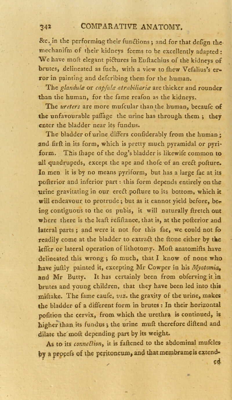 &c. in the performiag their functions; and for that delign the mechanifm of their kidneys feems to be excellently adapted: We have mod: elegant piftures inEuftachius of the kidneys of brutes, delineated as fuch, with a view to fhew Vefalius’s er- ror in painting and defcribing them for the human. The glandula or capfulcc atrabiliar 'ue are thicker and rounder than the human, for the fame reafon as the kidneys. The ureters are more mufcular than the human, becaufe of the unfavourable paflage the urine has through them ; they enter the bladder near its fundus. The bladder of urine differs confiderably from the human ; and firft in its form, which is pretty much pyramidal or pyri- form. This fhape of the dog’s bladder is likewife common to all quadrupeds, except the ape and thofe of an ereft pofture. In men it is by no means pyriform, but has a large fac at its pofterior and inferior part: this form depends entirely on the urine gravitating in our ere£l pofture to its bottom, which it will endeavour^ to protrude *, but as it cannot yield before, be- ing contiguous to the os pubis, it will naturally ftretch out where there is the leaft fefiftance, that is, at the pofterior and lateral parts ; and were it not for this fac, we could not fo readily come at the bladder to extraft the ftone either by the iefler or lateral operation of lithotomy. Moft anatomifts have delineated this wrong ; fo much, that I know of none who have juftly painted it, excepting Mr Cowper in his Myotomia^ and Mr Butty. It has certainly been from obferving it in brutes and young children, that they have been led into this xniftake. The fame caufe, viz, the gravity of the urine, makes the bladder of a difl:erent form in brutes: In their horizontal pofttion the cervix, from which the urethra is continued, is higher than its fundus j the urine muft therefore diftend and dilate the'moft depending part by its weight. As to its conneElioHy it is fattened to the abdominal mufcles by a prppefs of the pcntoneum> and that membrameis extend- ed