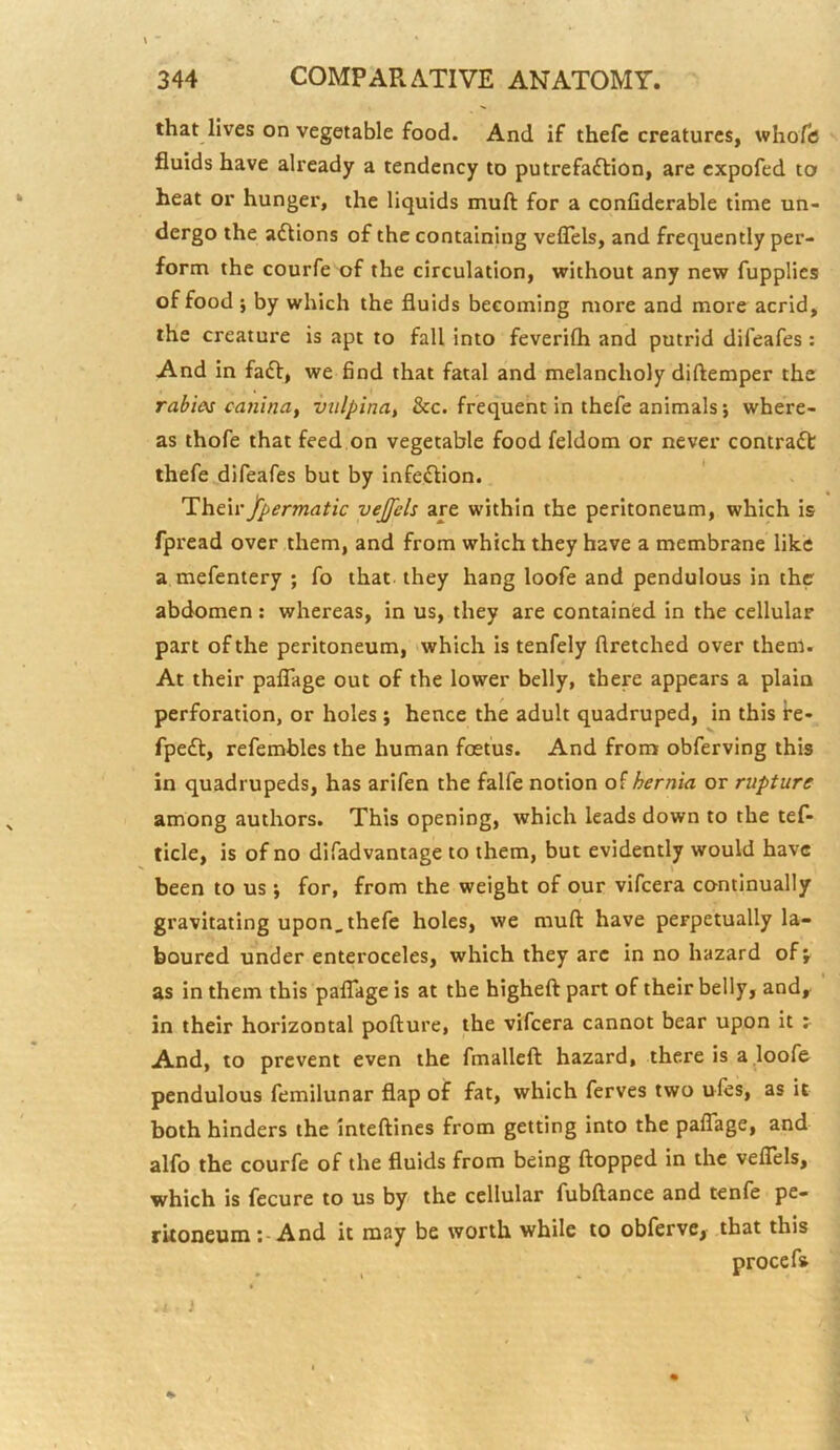 that lives on vegetable food. And if thefc creatures, whofc fluids have already a tendency to putrefaflion, are cxpofed to heat or hunger, the liquids muft for a confiderable time un- dergo the adlions of the containing veflels, and frequently per- form the courfe of the circulation, without any new fupplies of food j by which the fluids becoming more and more acrid, the creature is apt to fall into feverilh and putrid difeafes : And in fa£V, we find that fatal and melancholy diftemper the rabies canina, vulpina, &c. frequent in thefe animals; where- as thofe that feed on vegetable food feldom or never contraft thefe difeafes but by infection. Theii'/permatic vejfels are within the peritoneum, which is fpread over them, and from which they have a membrane like a mefentery ; fo that they hang loofe and pendulous in the abdomen : whereas, in us, they are contained in the cellular part of the peritoneum, 'which is tenfely ftretched over them. At their palTage out of the lower belly, there appears a plain perforation, or holes; hence the adult quadruped, in this fe- fpe£l, refembles the human foetus. And from obferving this in quadrupeds, has arifen the falfe notion of hernia or rupture among authors. This opening, which leads down to the tef- ticle, is of no difadvantage to them, but evidently would have been to us ; for, from the weight of our vifeera continually gravitating upon, thefe holes, we muft have perpetually la- boured under enteroceles, which they are in no hazard of j as in them this palTage is at the higheft part of their belly, and, in their horizontal pofture, the vifeera cannot bear upon it ^ And, to prevent even the fmalleft hazard, there is a loofe pendulous femilunar flap of fat, which ferves two ules, as it both hinders the inteftines from getting into the palTage, and alfo the courfe of the fluids from being flopped in the veflels, which is fecure to us by the cellular fubftance and tenfe pe- rkoneumAnd it may be worth while to obferve, that this