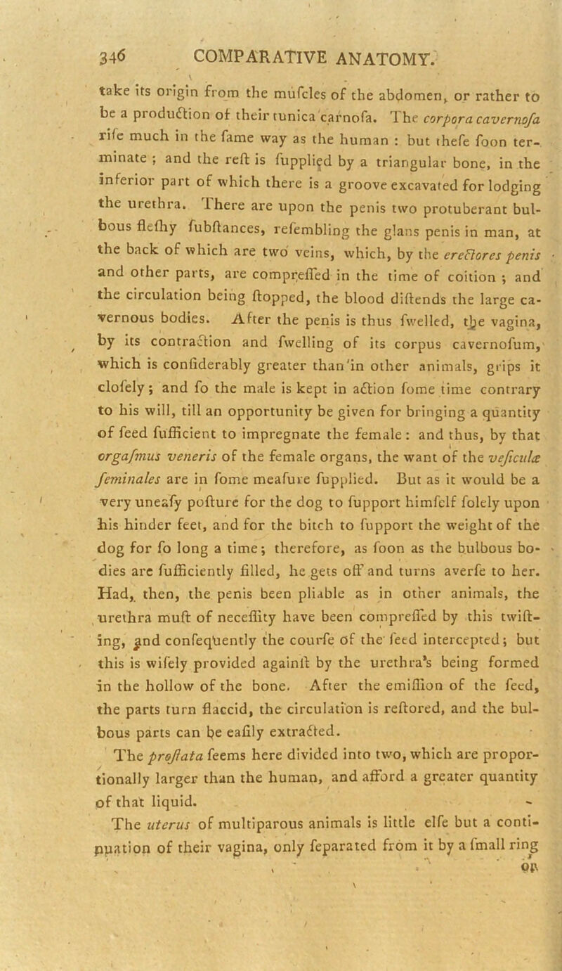 V take its origin from the mufcles of the abdomen^ or rather to be a production ot their tunica carnofa. Ihe corpora cavernofa riie much, in the fame way as the human : but thefe foon ter- minate ; and the reft is fuppli^d by a triangular bone, in the inferior part of which there is a groove excavated for lodging the urethra. There are upon the penis two protuberant bul- bous flefhy fubftances, refembling the glans penis in man, at the back of which are two veins, which, by the erePlorcs penis and other parts, are compirefled in the time of coition ; and the circulation being flopped, the blood diftends the large ca- vernous bodies. After the penis is thus fwelled, ijje vagina, by its contraction and fwelling of its corpus cavernofum,' which is confiderably greater than'in other animals, grips it clofely; and fo the male is kept in aCtion fome time contrary to his will, till an opportunity be given for bringing a quantity of feed fufficient to impregnate the female : and thus, by that orgafmus veneris of the female organs, the want of the veficulce Jeminales are in fome meafure fupplied. But as it would be a very uneafy poflurc for the dog to fupport himfclf folely upon his hinder feet, and for the bitch to fupport the weight of the dog for fo long a time; therefore, as foon as the bulbous bo- dies arc fufficiently filled, he gets off and turns averfe to her. Had, then, the penis been pliable as in other animals, the , urethra mufl of neceflity have been comprefTed by this twill- ing, ^nd confeqpently the courfe of the feed intercepted; but this is wifely provided againll by the urethra*s being formed in the hollow of the bone. After the emifiion of the feed, the parts turn fiaccid, the circulation is reftored, and the bul- bous parts can be eafily extracted. The projiata feems here divided into tw'o, which are propor- tionally larger than the human, and afford a greater quantity of that liquid. The uterus of multiparous animals is little elfe but a conti- puation of their vagina, only feparated from it by a fmall ring /