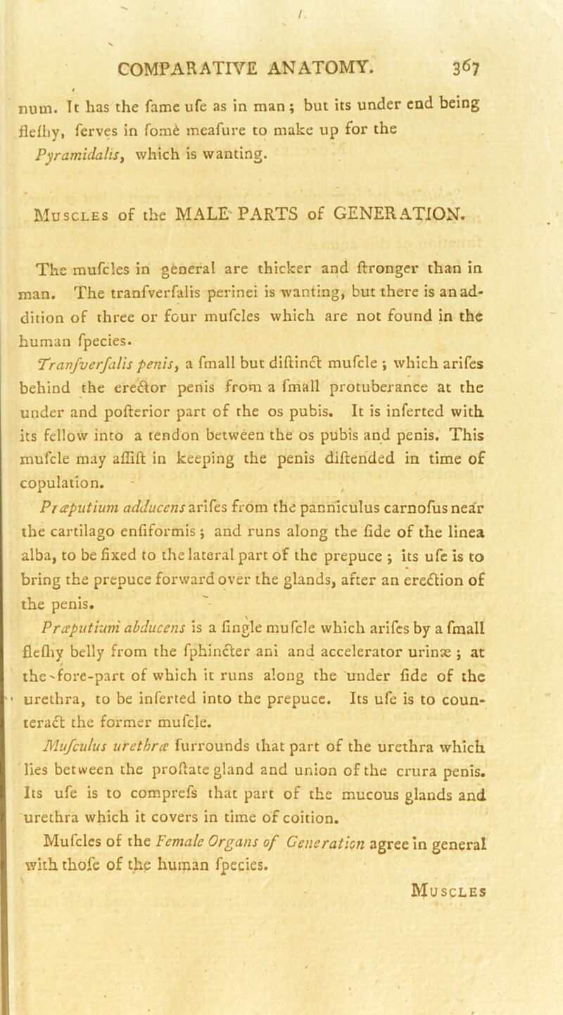 I. COMPARATIVE ANATOMY. 3^7 nuui. It has the fame ufe as in man ; but its under end being flefhy, ferves in fom^ meafure to make up for the PyramidaliSy which is wanting. Muscles of the MALE PARTS of GENERATION. The mufcles in general are thicker and ftronger than in man. The tranfverfalis perinei is wanting, but there is an ad- dition of three or four mufcles which are not found in the human fpecies. Tranfverfalis penis, a fmall but diftincl mufcle ; which arifes behind the erector penis from a fmall protuberance at the under and pofterior part of the os pubis. It is inferred with, its fellow into a tendon between the os pubis and penis. This mufcle may affift in keeping the penis diftehded in time of copulation. Praputium adducens from the panniculus carnofusnea'r the cartilago enfiformis ; and runs along the fide of the linea alba, to be fixed to the lateral part of the prepuce ; its ufe is to bring the prepuce forward over the glands, after an erefUon of the penis. Prcepiitruni abducens is a fingle mufcle which arifes by a fmall flefliy belly from the fphincler ani and accelerator urinte ; at the-fore-part of which it runs along the under fide of the urethra, to be inferred into the prepuce. Its ufe is to coun- tera£l: the former mufcle. Mufculus urethree furrounds that part of the urethra which, lies between the proftate gland and union of the crura penis. Its ufe is to comprefs that part of the mucous glands and urethra which it covers in time of coition. Mufcles of the Female Organs of Generation agree in general with thofc of the human fpecies. Muscles