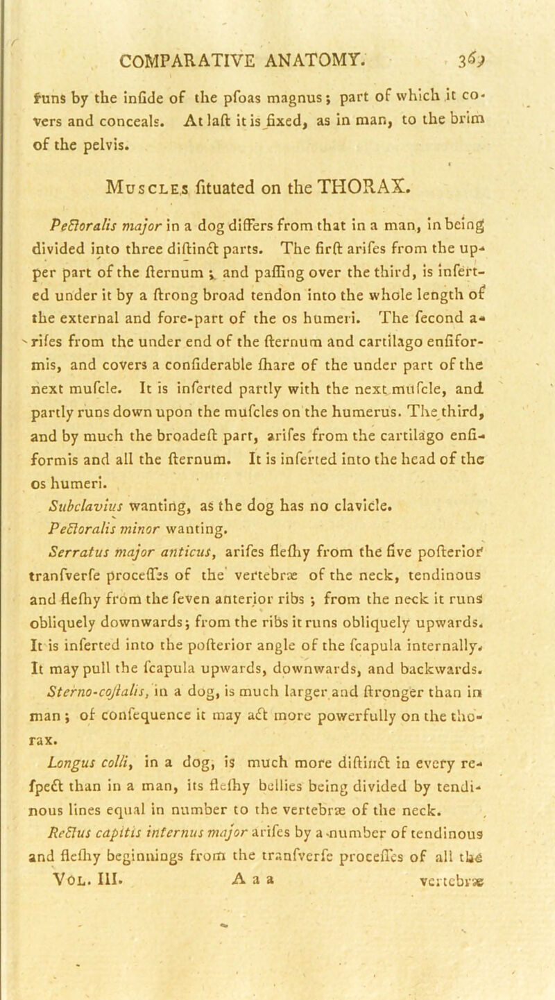 s COMPARATIVE ANATOMY. . funs by the inGde of the pfoas magnus; part of which .it co- vers and conceals. Atlaft itis^fixed, as in man, to the brim of the pelvis. < Muscle,s fituated on the THORAX. PeBoralis major in a dog differs from that in a man, in being divided into three diftinft parts. The firft arifes from the up-* per part of the fternum and palling over the third, is infert- ed under it by a ftrong broad tendon into the whole length of the external and fore-part of the os humeri. The fecond a-* 'riles from the under end of the fternum and cartilago enlifor- mis, and covers a conliderable lhare of the under part of the next mufcle. It is infcrted partly with the next mufcle, and partly runs down upon the mufcles on the humerus. The third, and by much the broadeft parr, arifes from the cartilago enfi-« formis and all the fternum. It is inferted into the head of the os humeri. Subclavius wanting, as the dog has no clavicle. PeBoralis minor wanting. Serratus major anticiis, arifes flelhy from the five pofterior* tranfverfe proceffes of the' vertebra: of the neck, tendinous and flelhy from the feven anterior ribs •, from the neck it runs obliquely downwards; from the ribs it runs obliquely upwards. It is inferted into the pofterior angle of the fcapula internally. It may pull the fcapula upwards, downwards, and backwards. Sterno-coJialis,\n. a dog, is much larger and ftronger than in man ; of confcquence it may a£t more powerfully on the tho- rax. Longus colliy in a dog, is much more diftiii£l in every re- fpe£f than in a man, its flelhy bellies being divided by tendi- nous lines equal in number to the vertebrae of the neck. ReSlus capitis internus major arifes by a -number of tendinous and flcfliy beginnings from the trr.nfverfe proceffes of all the VOL. Ill- A a a vcrtcbvsB