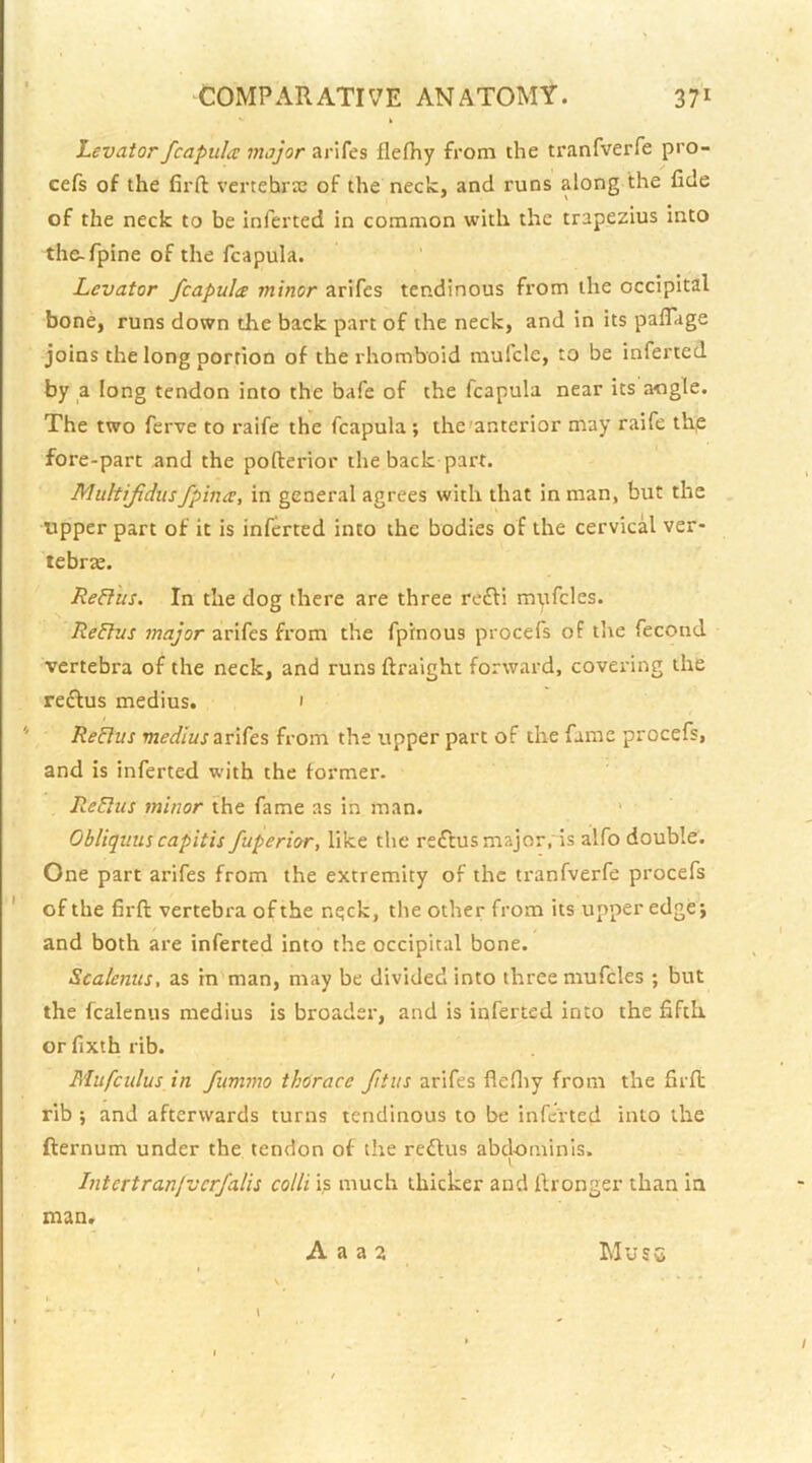 Levator fcapula: major arifes flefhy from the tranfverfe pro- cefs of the firft vertebrae of the neck, and runs along the fide of the neck to be inferted in common with the trapezius Into the-fpine of the fcapula. Levator fcapula minor arifes tendinous from the occipital bone, runs down the back part of the neck, and in its paflTage joins the long portion of the rhomboid muicle, to be inferted by a long tendon into the bafe of the fcapula near its angle. The two ferve to raife the fcapula ; the'anterior may raife the fore-part and the pofterior the back part. Muhijidus fpina, in general agrees with that in man, but the upper part of it is inferted into the bodies of the cervical ver- tebra. ReRus. In the dog there are three refli mpfcles. ReElus major arifes from the fpinous procefs of the fecond vertebra of the neck, and runs ftralght forward, covering the reflus medius. 1 ReElus TOeif/wj arifes from the upper part of the fame procefs, and is inferted with the former. ReEhis minor the fame as in man. Obliquuscapitis fuperior, like the reftus major, is alfo double. One part arifes from the extremity of the tranfverfe procefs ' of the firft vertebra of the nqck, the other from its upper edge j and both are inferted into the occipital bone. Scalenus, as in man, may be divided into three mufcles ; but the fcalenus medius is broader, and is inferted into the fifth orfixth rib. Mufculus in fummo thorace fitus arifes flefliy from the firft rib ; and afterwards turns tendinous to be inferted into the fternum under the tendon of the reflus abdominis. Intertranjvcrfalis colli is much thicker and ftronger than in man. A a a 2 Muse