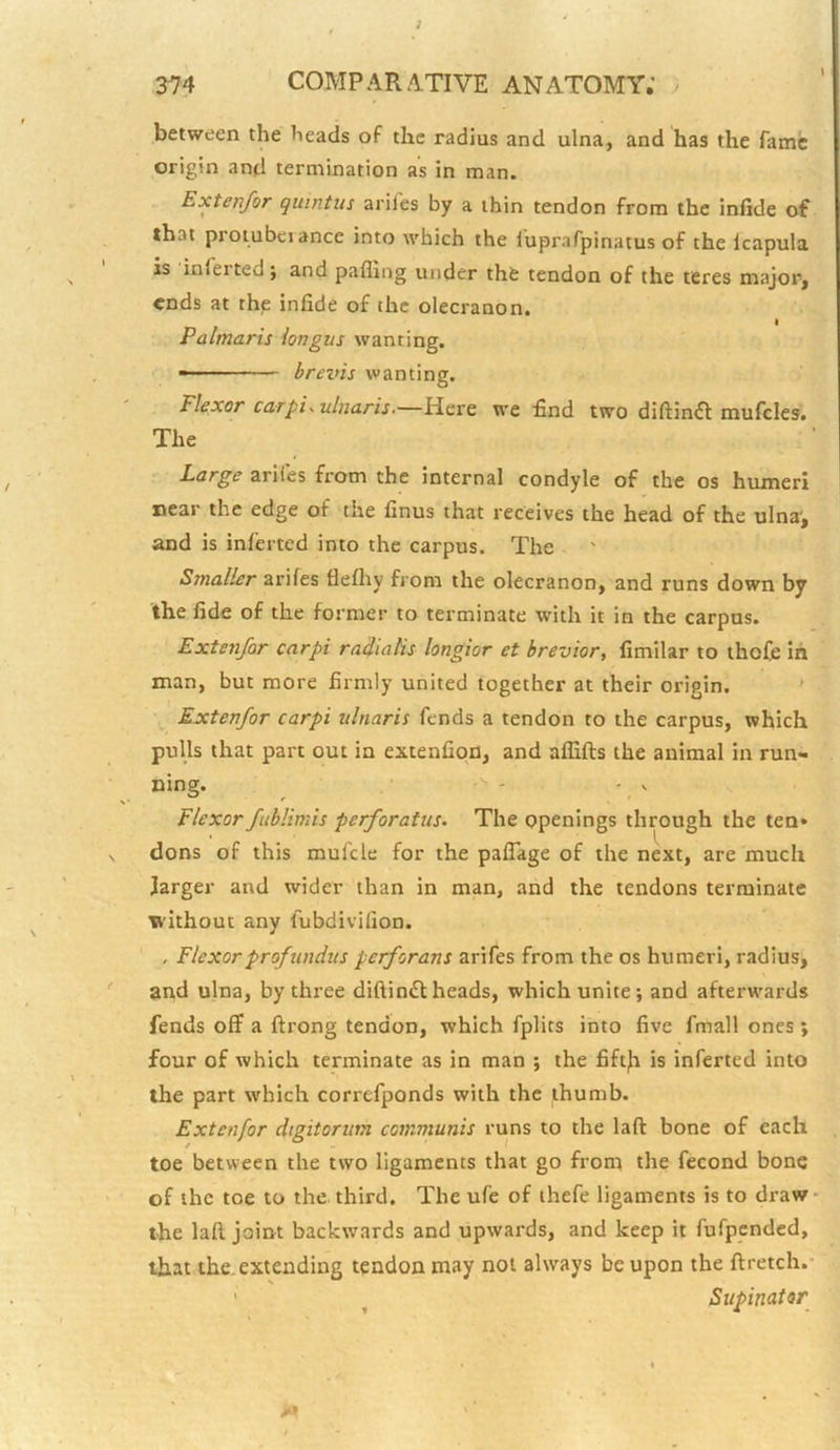 between the heads of the radius and ulna, and has the fame origin and termination as in man. Extenfor quintus ariles by a thin tendon from the infide of that proiubciance into which the iuprafpinatus of the Icapula is inferted; and pafling under the tendon of the teres major, ends at the infide of the olecranon. I Palmaris iongus wanting. - ' brevis wanting. Flexor carpi-ulnaris-—Here we £nd two diftinfl mufcles. The Large ariles from the internal condyle of the os humeri near the edge of the finus that receives the head of the ulna', and is inferted into the carpus. The Smaller ariles flelliy from the olecranon, and runs down by the fide of the former to terminate with it in the carpus. Extenfor carpi raiiatis longior et brevior, fimilar to thofe in man, but more firmly united together at their origin. Extenfor carpi ulnaris fends a tendon to the carpus, which pulls that part out in extenfiqn, and aflifts the animal in run- ning. Flexor fublimis perforatus. The openings through the ten* dons of this mufcle for the paflage of the next, are much larger and wider than in man, and the tendons terminate Trithout any fubdivifion. . Flexor profundus perforans arifes from the os humeri, radius, and ulna, by three diftinfl:heads, which unite; and afterwards fends off a ftrong tendon, which fplits into five fmall ones; four of which terminate as in man ; the fiftji is inferted into the part which correfponds with the thumb. Extenfor dtgitoriim communis runs to the laft bone of each toe between the two ligaments that go from the fecond bone of the toe to the third. The ufe of thefe ligaments is to draw* the laft joint backwards and upwards, and keep it fufpended, that the. extending tendon may not always be upon the ftretch.- ' ^ Supinator