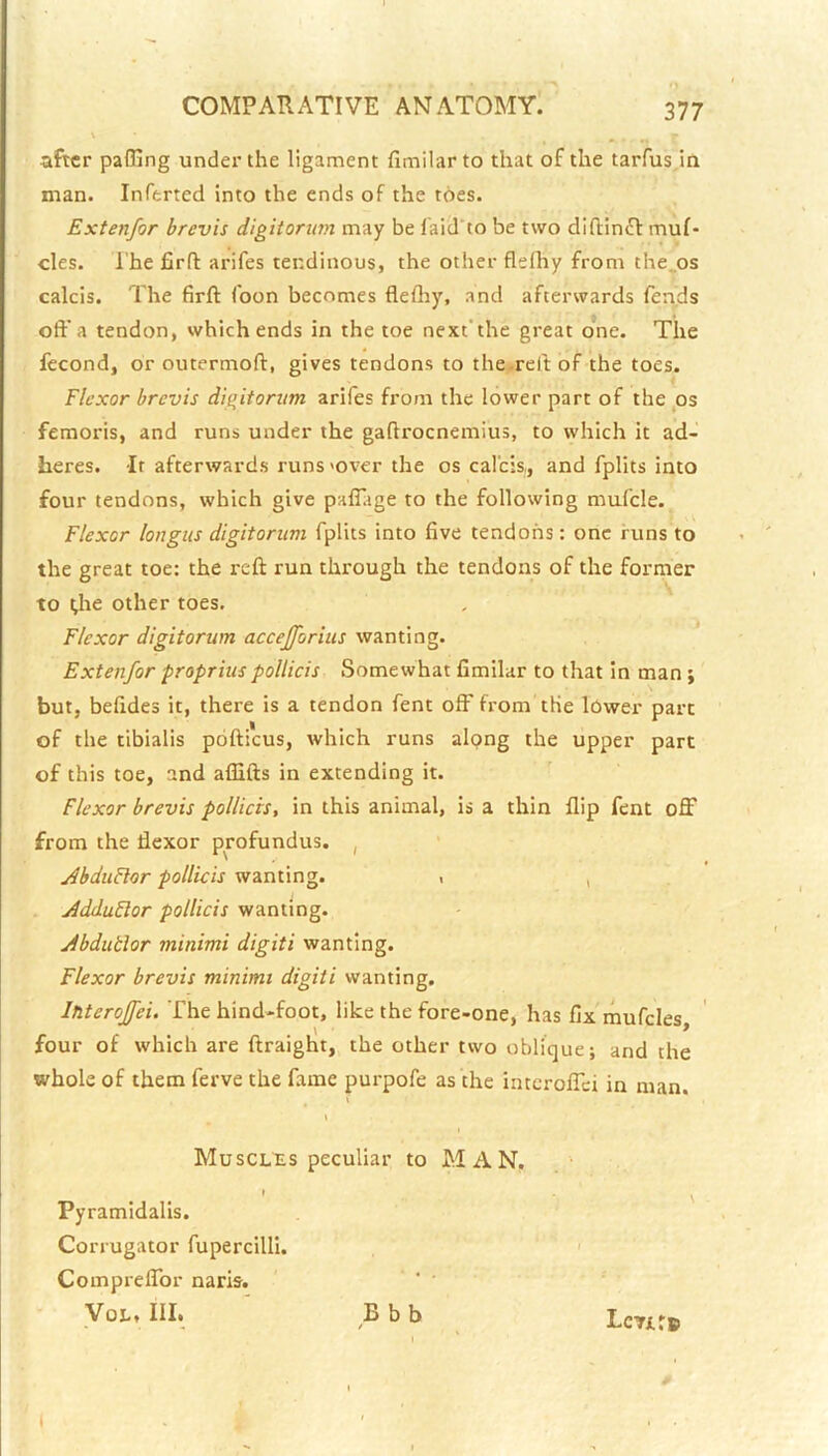 O after paffing under the ligament fimilar to that of the tarfus/m man. Inftrted into the ends of the toes. Extenfor brevis digitoriim may be laid'to be two diftin^l muf- cles. I'he fird arifes tendinous, the other flefhy from the^os calcis. The 6rft Toon becomes flefhy, and afterwards fends oft'a tendon, which ends in the toe next'the great one. The fecond, or outermoft, gives tendons to the .reft of the toes. Flexor brevis digitorum arifes from the lower part of the^os femoris, and runs under the gaftrocnemius, to which it ad- heres. It afterwards runs >over the os calcis,, and fplits into four tendons, which give palTage to the following mufcle. Flexor longus digitoriim fplits into five tendons: one funs to the great toe: the reft run through the tendons of the former to Uie other toes. Flexor digitorum accejforius wanting. Extenfor propriiis pollicis Somewhat fimilar to that in man; but, befides it, there is a tendon fent off from the Ibwer part of the tibialis pofticus, which runs alpng the upper part of this toe, and aflifts in extending it. Flexor brevis pollicis, in this animal, is a thin flip fent off from the flexor profundus. , AhdiiRor pollicis wanting. , , jidduFtor pollicis wanting. Jbdutlor minimi digiti wanting. Flexor brevis minimi digiti wanting. Ihterojfei. The hind-foot, like the fore-one, has fix mufcles four of which are ftraight, the other two oblique; and the whole of them ferve the fame purpofe as the intcroffei in man. Muscl^.s peculiar to MAN, Pyramidalis. Corrugator fupercilli. Compi-effor naris. Vot, III. ‘ Ebb Lcnr®