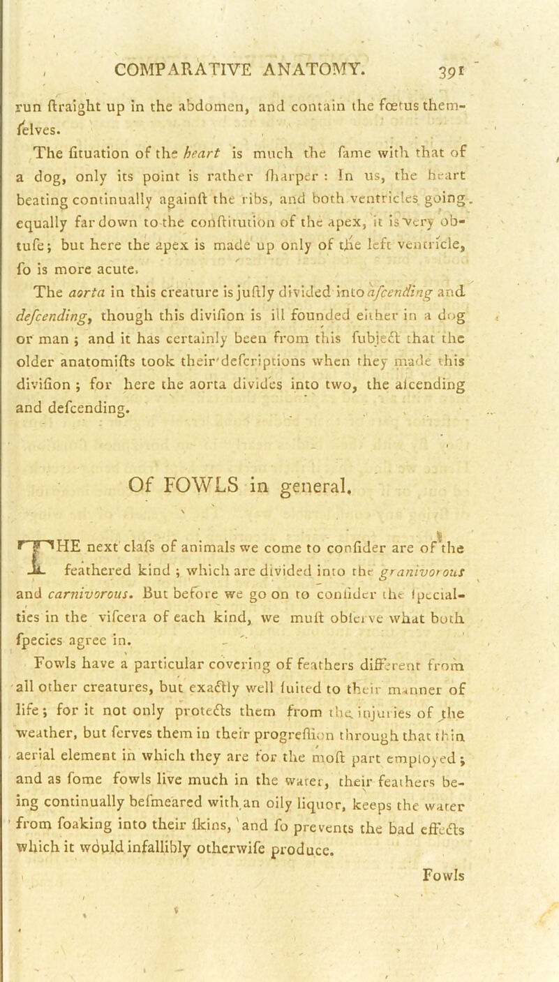 run ftralght up in the abdomen, and contain the foetus them- fclves. The fituation of the heart is much the fame with that of a dog, only its point is rather fliarper : In us, the heart beating continually againft the ribs, and both ventricles going, equally far down to the conflitution of the apex, it is very ob- tufe; but here the apex is made up only of die left ventricle, fo is more acute. The aorta in this creature is juftly divided into and defeendingj though this divifion is ill founded either in a dog or man ; and it has certainly been from this fubjeft that the older anatomifts took their'deferiptions when they made this divifion ; for here the aorta divides into two, the alcending and defeending. , Of FOWLS in general. N The next clafs of animals we come to confider are of\he feathei'ed kind ; which are divided into the granivotous and carnivorous. But before we go on to confider the (ptcial- tics in the vifeera of each kind, we mull oblcrve what both fpecics agree in. _ '■ Fowls have a particular covering of feathers different from all other creatures, but exafUy well luiied to their manner of life; for it not only prote£ls them from the. injuries of ^he weather, but ferves them in their progrefiiun through that thin aerial element in which they are for the moll part employed; and as fome fowls live much in the water, their feathers be- ing continually belmearcd with.an oily liquor, keeps the water ' from foaking into their Ikins, 'and fo prevents the bad effedls which it would infallibly otherwife produce. I Fowls