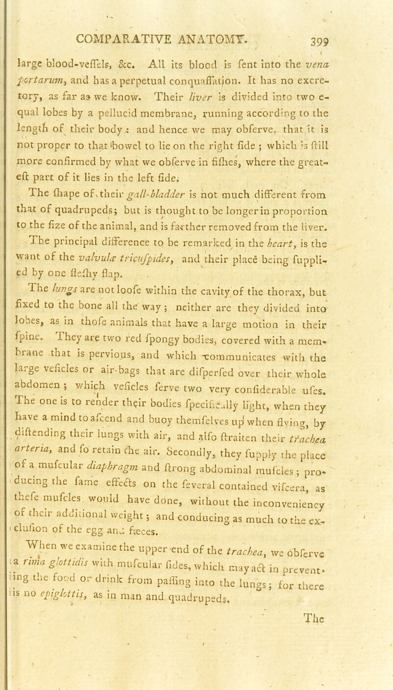 large blood-veflels, &c. All its blood is Pent into the vena portarim.^ and has a perpetual conquaffation. It has no excre- torj, as far as we know. Their liver is divided into two e- qual lobes by a pellucid membrane, running according to the length of their body ^ and hence we may obferve, that u is not proper to that 'bowel to lie on the right fide ; which is fiill more confirmed by what we obferve in fiflies, where the great- eft part of it lies in the left fide. The fliape oi^t'ciew gall-bladder is hot much different from that of quadrupeds; but is thought to be longerin proportion to the fize of the animal, and is farther removed from the liver. The principal difference to be remarked^ in the heart, is the want of the valvula tricnfpidcs, and their place being fuppli- ed by one flsftiy flap. The lungs are not loofe within the cavity of the thorax, but fixed to the bone all the' way ; neither are they divided into lobes, as in thofe animals that have a large motion in their fpine. They are two red fpongy bodies, covered with a mem- biane that is pervious, and which 'communicates with the large veficles or air-bags that are difperfed over their whole abdomen ; which veficles ferve two very confiderable ufes. The one is to render th^ir bodies fpecifically light, when they have a mind toafeend and buoy themfelves up'when firing, by diftending their lungs with air, and alfo ftraiten their trachea arteria, and fo retain the air. Secondly, they fupply the place of a mufcular diaphragm and ftrong abdominal raufcles; pro- ducing the fame effcas on the feveral contained vifeera, as thefe mufcles would have done, without the inconveniency or their addiuonal weight; and conducing as much to the ex- I clufion of the egg anj fiuces. When we examine the upper -end of the trachea, we obferve :a nma glotlidis with mufcular fides, which mayacl in prevent- nng the food ordrink from paffmg into the lungs; for there ns no epiglottis, as in man and quadrupeds.
