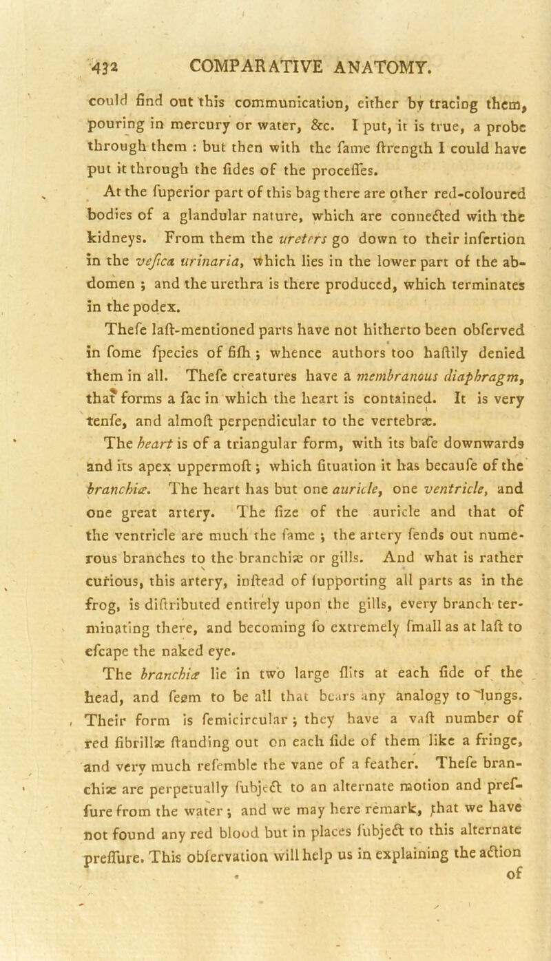 could find out this communication, either by tracing them, pouring in mercury or water, &c. I put, it is true, a probe through them : but then with the fame ftrengih 1 could have put it through the fides of the procefles. At the fuperior part of this bag there are other red-coloured bodies of a glandular nature, which are connedled with the kidneys. From them the ureters go down to their infertion in the vefica urinaria, \frhich lies in the lower part of the ab- dorhen ; and the urethra is there produced, which terminates in the podex. Thefe laft-mentioned parts have not hitherto been obferved in fome fpecies of fifh ; whence authors too haflily denied them in all. Thefe creatures have a membranous diaphragm^ tha? forms a fac in which the heart is contained. It is very tenfe, and almoft perpendicular to the vertebrae. The heart is of a triangular form, with its bafe downwards and its apex uppermoft; which fituation it has becaufe of the' branchiee. The heart has but one auricle^ one ventricle, and one great artery. The fize of the auricle and that of the ventricle are much the fame ; the artery fends out nume- rous branches to the branchise or gills. And what is rather cufious, this artery, inftead of lupporting all parts as in the frog, is diftributed entirely upon the gills, every branch' ter- minating there, and becoming fo extremely fmall as at laft to efcape the naked eye. The hranchia lie in two large flits at each fide of the head, and feem to be all that bears any analogy to'lungs. , Their form is femicircular; they have a vaft number of red fibrillae ftanding out on each fide of them like a fringe, and very much refemblc the vane of a feather. Thefe bran- chise are perpetually fubjeft to an alternate ruotion and pref- fure from the water \ and we may here remark, ^hat we have not found any red blood but in places fubjefl to this alternate prefTure. This obfervation will help us in explaining the aaion of