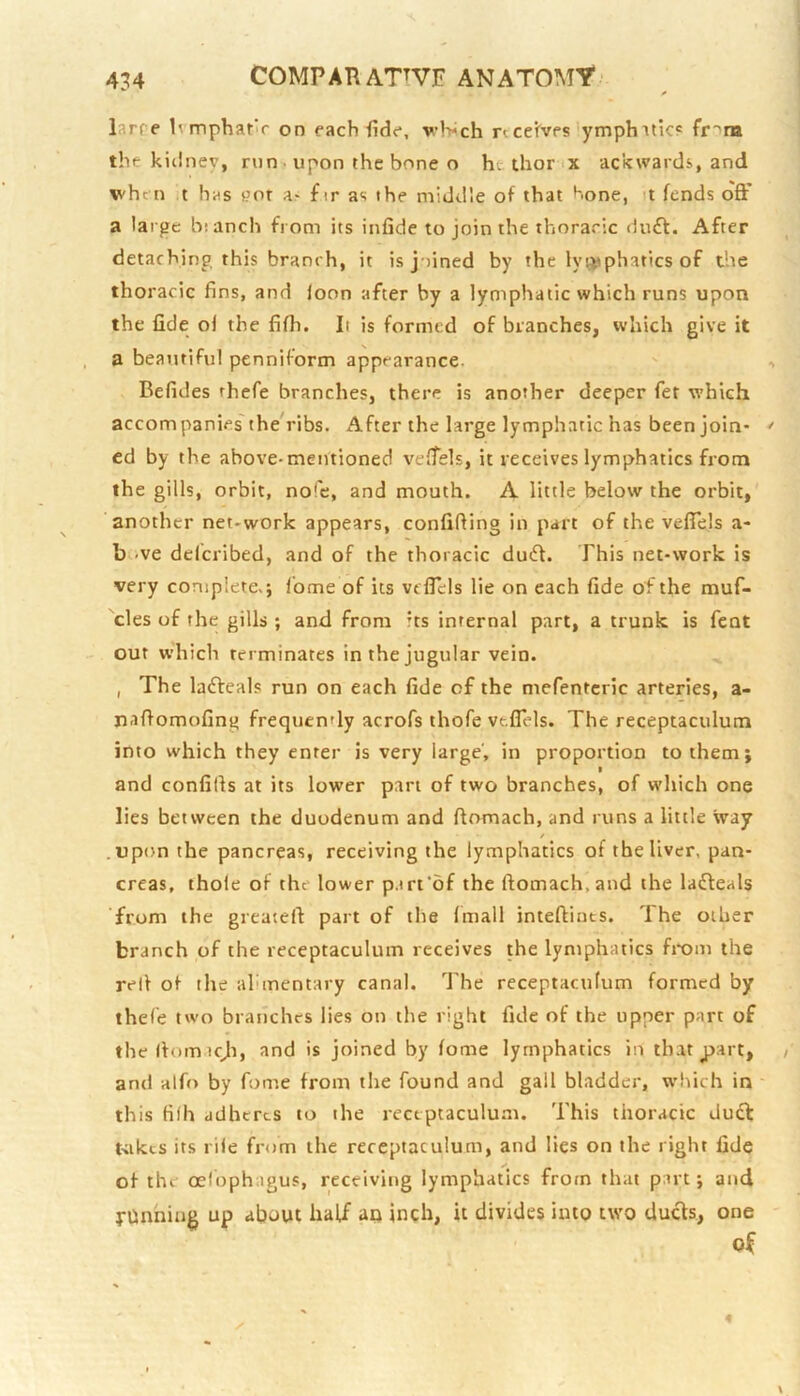 larre R mphar’r on each fide, •wh*ch rtce’fves'ymphitic? fr^m the kidney, run • upon the bone o ht. thor ax ackwards, and V'hen t has yor fir as the middle of that bone, it fends o'ft’ a large blanch from its infide to join the thoracic duft. After detaching, this branch, it is joined by the lya^phatics of the thoracic fins, and loon after by a lymphatic which runs upon the fide ol the fifh. It is formed of branches, which give it a beautiful penniform appearance. Befides thefe branches, there is another deeper fet which accompanics'theVibs. After the large lymphatic has been join- ed by the above-mentioned vefiels, it receives lymphatics from the gills, orbit, nofe, and mouth. A little below the orbit, another net-work appears, confiding in part of the vefiels a- b <ve delcribed, and of the thoracic duiff. This net-work is very complete,; Ibme of its vdTcls lie on each fide of the muf- cles of the gills ; and from rts internal part, a trunk is fent our which terminates in the jugular vein. , The lafteals run on each fide of the mefentcric arteries, a- naftomofing frequency acrofs thofe vefiels. The receptaculum into which they enter is very large', in proportion to them; and confifis at its lower pan of two branches, of which one lies between the duodenum and ftomach, and runs a little way .upon the pancreas, receiving the lymphatics of the liver, pan- creas, thole of the lower p.m'of the ftomach, and the lafleals from the greateft part of the Imall inteftiuts. The other branch of the receptaculum receives the lymphatics fixim the rell of the alimentary canal. The receptaculum formed by thefe two branches lies on the right fide of the upper part of thellomicji, and is joined by fome lymphatics in that part, and alfo by fome from the found and gall bladder, wluch in this filh adheres to the receptaculum. This thoracic duft Uikcs its rile from the receptaculum, and lies on the right fide of the oelbphagus, receiving lymphatics from that part; and fOnhiug up about half an inch, it divides into two duels, one of