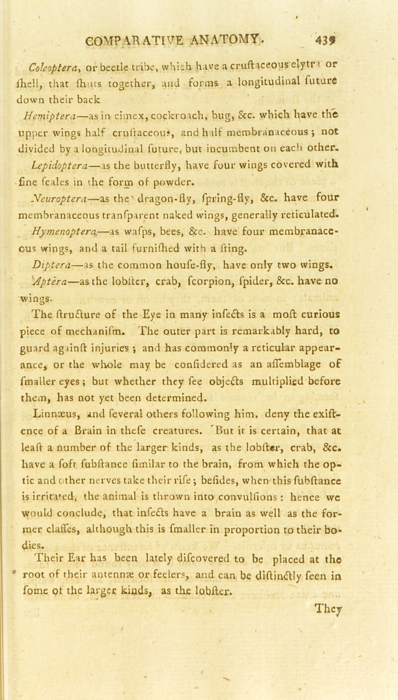 Colaoplerat or beetle tribe, which have a cruft^ceous elytra or iheli, that fhuts together, and forms a longitudinal future down their back Hemiptera—as in ciinex, cockroach, bug, See. which have the upper wings half crul'taceous, and half membranaceous *, not divided by a longitudinal future, but incumbent on each other. Lepidoptera—as the butterfly, have four wings covered with • line fcalcs in the form of powder. Neuroptera—as the'dragon-fly, fpring-fly, &c. have four membranaceous tranfparent naked wings, generally reticulated. Hymenoptera,—as wafps, bees, ^c. have four membranace- ous wings, and a tail furnifhed with a fling. Dipterd—as the common houfe-fly, have only two wings. ■ 'Aptera—as the lobfler, crab, fcorpion, fpider, &c. have no wings. The ftrufture of the Eye in many infers is a moft curious piece of mechanifm. The outer part is remarkably hard, to guard againft injuries ; and has commonly a reticular appear- ance, or the wlrole may be confidered as an aflTemblage of fmaller eyes; but whether they fee objects multiplied before them, has not yet been determined. Linnxus, and feveral others following him, deny the exift- ence of a Brain in thefe creatures. 'But it is certain, that at leaft a number of the larger kinds, as the lobfler, crab, &c. have a fofr fubftance fimilar to the brain, from which the op- tic and other nerves take their rife; befides, when this fubftance is irritated, the animal is thrown into convullions: hence we would conclude, that infedls have a brain as well as the for- mer claflfes, although this is fmaller in proportion to their bo- dies. Their Ear has been lately difeovered to be placed at the • root of their antennte or feelers, and can be diftin^lly feen in fome pt the larger kinds, as the lobfler.