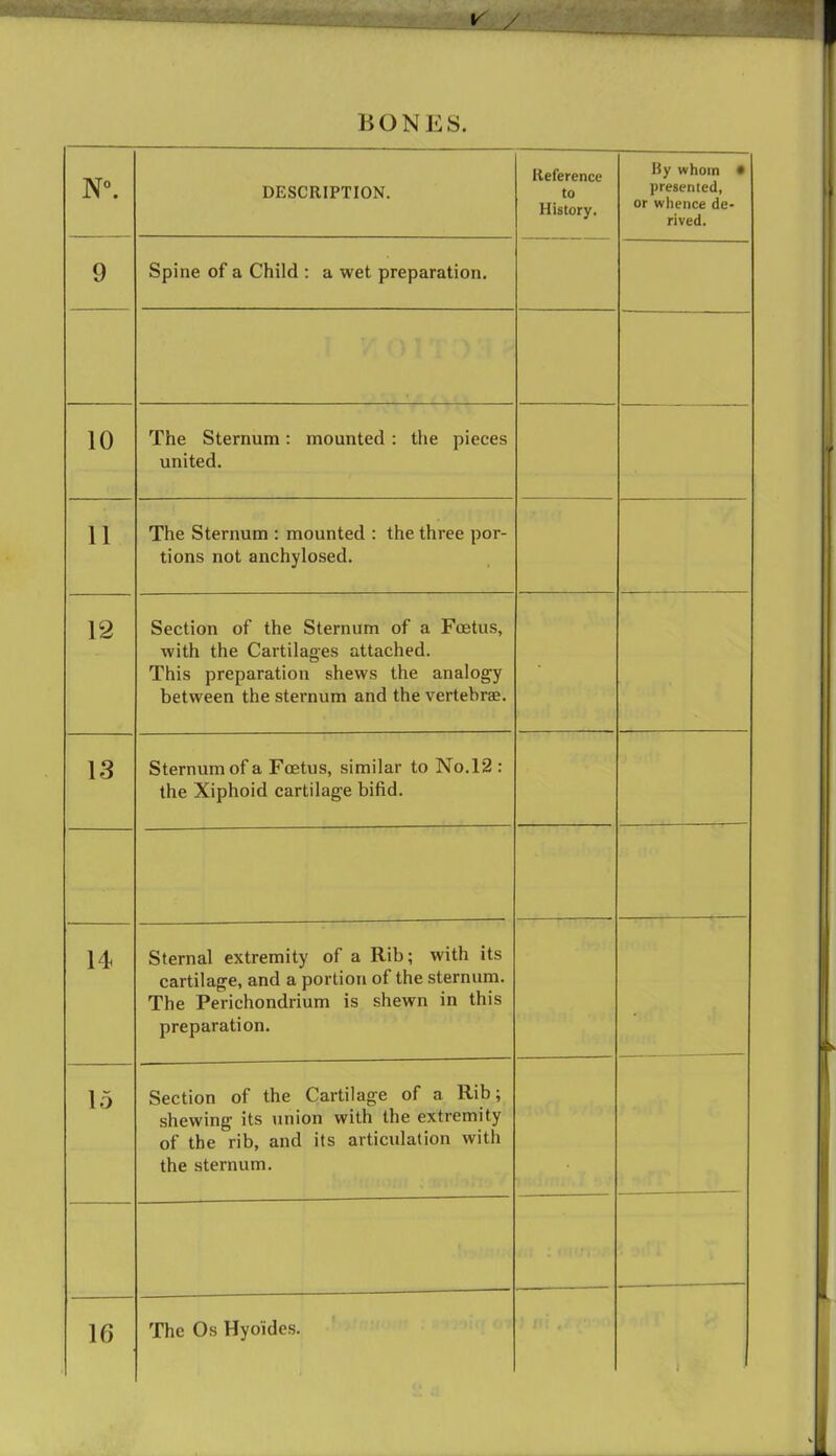 N°. DESCRIPTION. Reference to History. By whom • presented, or whence de- rived. 9 Spine of a Child : a wet preparation. 10 The Sternum: mounted: the pieces united. 11 The Sternum : mounted : the three por- tions not anchylosed. 12 Section of the Sternum of a Foetus, with the Cartilages attached. This preparation shews the analogy between the sternum and the vertebra?. 13 Sternum of a Foetus, similar to No.12 : the Xiphoid cartilage bifid. _ . -— 14 Sternal extremity of a Rib; with its cartilage, and a portion of the sternum. The Perichondrium is shewn in this preparation. ■ — 15 Section of the Cartilage of a Rib; shewing its union with the extremity of the rib, and its articulation with the sternum.