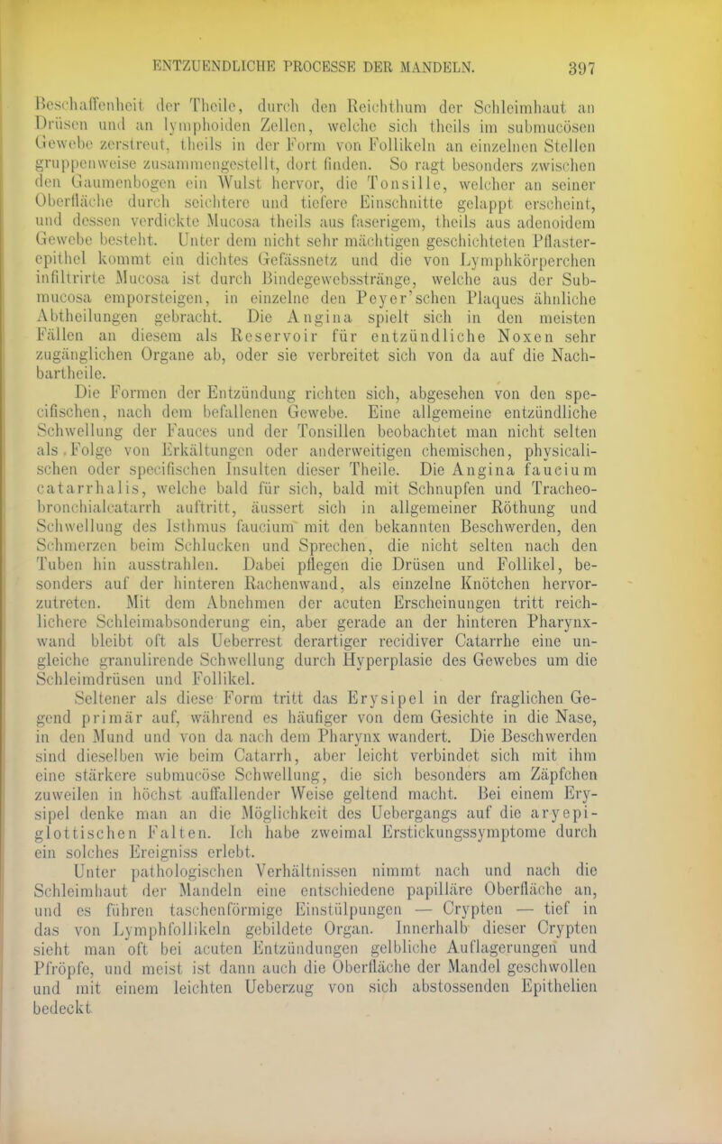 Beschaffenheil der Theile, durch den Reichthum der Schleimhaut an Di üsen und an Lymphoiden Zellen, welche sich fcheils im submucösen Gewebe zerstreut, liheils in der Form von Follikeln an einzelnen Stellen gruppenweise zusammengestellt, dort finden. So ragt besonders zwischen den Gaumenbogen ein AVulst hervor, die Tonsille, welcher an seiner Oberfläche durch seichtere und tiefere Einschnitte gelappt erscheint, und dessen verdickte Mucosa theils aus faserigem, theils aus adenoidem Gewebe besteht. Unter dem nicht sehr mächtigen geschichteten Pflaster- cpithel kommt ein dichtes Gefässnetz und die von Lymphkörperchen infiltrirte Mucosa ist durch Bindegewebsstränge, welche aus der Sub- mueosa emporsteigen, in einzelne den Peyerschen Plaques ähnliche Abtheilungen gebracht. Die Angina spielt sich in den meisten Fällen an diesem als Reservoir für entzündliche Noxen sehr zugänglichen Organe ab, oder sie verbreitet sich von da auf die Nach- barthcile. Die Formen der Entzündung richten sich, abgesehen von den spe- eifischen, nach dem befallenen Gewebe. Eine allgemeine entzündliche Schwellung der Fauces und der Tonsillen beobachtet man nicht selten als.Folge von Erkältungen oder anderweitigen chemischen, physicali- schen oder speeifischen Insulten dieser Theile. Die Angina faucium catarrhalis, welche bald für sich, bald mit Schnupfen und Tracheo- bronchialcatarrh auftritt, äussert sich in allgemeiner Röthung und Schwellung des Isthmus faucium mit den bekannten Beschwerden, den Schmerzen beim Schlucken und Sprechen, die nicht selten nach den Tuben hin ausstrahlen. Dabei pflegen die Drüsen und Follikel, be- sonders auf der hinteren Rachenwand, als einzelne Knötchen hervor- zutreten. Mit dem Abnehmen der acuten Erscheinungen tritt reich- lichere Schleimabsonderung ein, aber gerade an der hinteren Pharynx- wand bleibt oft als Ueberrest derartiger recidiver Catarrhe eine un- gleiche granulirende Schwellung durch Hyperplasie des Gewebes um die Schleimdrüsen und Follikel. Seltener als diese Form tritt das Erysipel in der fraglichen Ge- gend primär auf, während es häufiger von dem Gesichte in die Nase, in den Mund und von da nach dem Pharynx wandert. Die Beschwerden sind dieselben wie beim Catarrh, aber leicht verbindet sich mit ihm eine stärkere submucöse Schwellung, die sich besonders am Zäpfchen zuweilen in höchst auffallender Weise geltend macht. Bei einem Ery- sipel denke man an die Möglichkeit des Uebergangs auf die aryepi- glottischen Falten. Ich habe zweimal Erstickungssymptome durch ein solches Ereigniss erlebt. Unter pathologischen Verhältnissen nimmt nach und nach die Schleimhaut der Mandeln eine entschiedene papilläre Oberfläche an, und es führen taschenförmige Einstülpungen — Crypten — tief in das von Lymphfollikeln gebildete Organ. Innerhalb dieser Crypten sieht man oft bei acuten Entzündungen gelbliche Auflagerungen und Pfropfe, und meist ist dann auch die Oberfläche der Mandel geschwollen und mit einem leichten Ueberzug von sich abstossenden Epithelien bedeckt