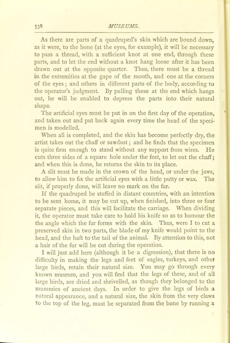 As there are parts of a quadruped’s skin which are bound down, as it were, to the bone (at the eyes, for example), it will be necessary to pass a thread, with a sufficient knot at one end, through these parts, and to let the end without a knot hang loose after it has been drawn out at the opposite quarter. Thus, there must be a thread in the extremities at the gape of the mouth, and one at the comers of the eyes; and others in different parts of the body, according to the operator’s judgment. By pulling these at the end which hangs out, he will be enabled to depress the parts into their natural shape. The artificial eyes must be put in on the first day of the operation, and taken out and put back again every time the head of the speci- men is modelled. When all is completed, and the skin has become perfectly dry, the artist takes out the chaff or sawdust; and he finds that the specimen is quite firm enough to stand without any support from wires. He cuts three sides of a square hole under the feet, to let out the chaff; and when this is done, he returns the skin to its place. A slit must be made in the crown of the head, or under the jaws, to allow him to fix the artificial eyes with a little putty or wax. The slit, if properly done, will leave no mark on the fur. If the quadruped be stuffed in distant countries, with an intention to be sent home, it may be cut up, when finished, into three or four separate pieces, and this will facilitate the carriage. When dividing it, the operator must take care to hold his knife so as to humour the the angle which the fur forms with the skin. Thus, were I to cut a preserved skin in two parts, the blade of my knife would point to the head, and the haft to the tail of the animal. By attention to this, not a hair of the fur will be cut during the operation. I will just add here (although it be a digression), that there is no difficulty in making the legs and feet of eagles, turkeys, and other large birds, retain their natural size. You may go through every known museum, and you will find that the legs of these, and of all large birds, are dried and shrivelled, as though they belonged to the mummies of ancient days. In order to give the legs of birds a natural appearance, and a natural size, the skin from the very claws to the top of the leg, must be separated from the bone by running a