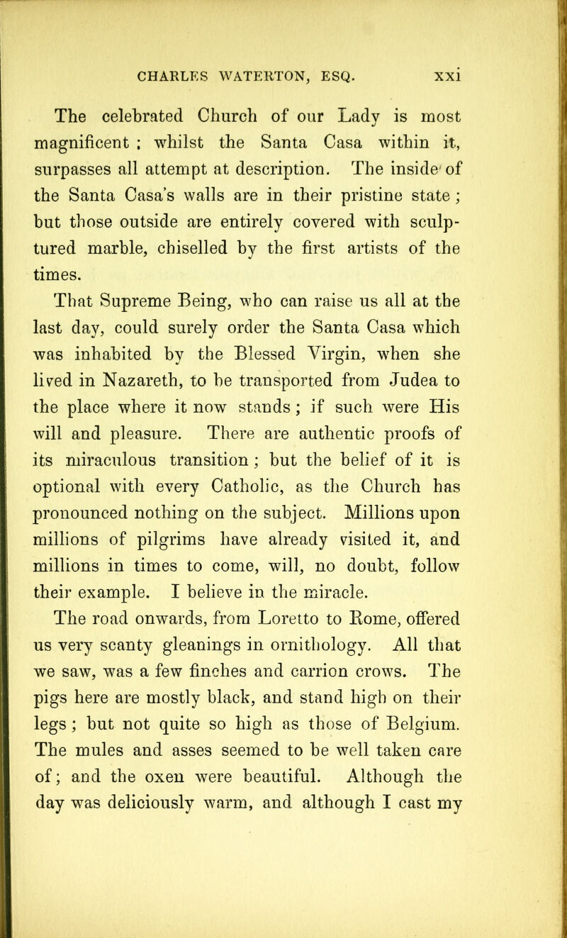 The celebrated Church of our Lady is most magnificent ; whilst the Santa Casa within it, surpasses all attempt at description. The inside of the Santa Casa’s walls are in their pristine state; but those outside are entirely covered with sculp- tured marble, chiselled by the first artists of the times. That Supreme Being, who can raise us all at the last day, could surely order the Santa Casa which was inhabited by the Blessed Virgin, when she lived in Nazareth, to be transported from Judea to the place where it now stands; if such were His will and pleasure. There are authentic proofs of its miraculous transition; but the belief of it is optional with every Catholic, as the Church has pronounced nothing on the subject. Millions upon millions of pilgrims have already visited it, and millions in times to come, will, no doubt, follow their example. I believe in the miracle. The road onwards, from Loretto to Borne, offered us very scanty gleanings in ornithology. All that we saw, was a few finches and carrion crows. The pigs here are mostly black, and stand high on their legs; but not quite so high as those of Belgium. The mules and asses seemed to be well taken care of; and the oxen were beautiful. Although the day was deliciously warm, and although I cast my