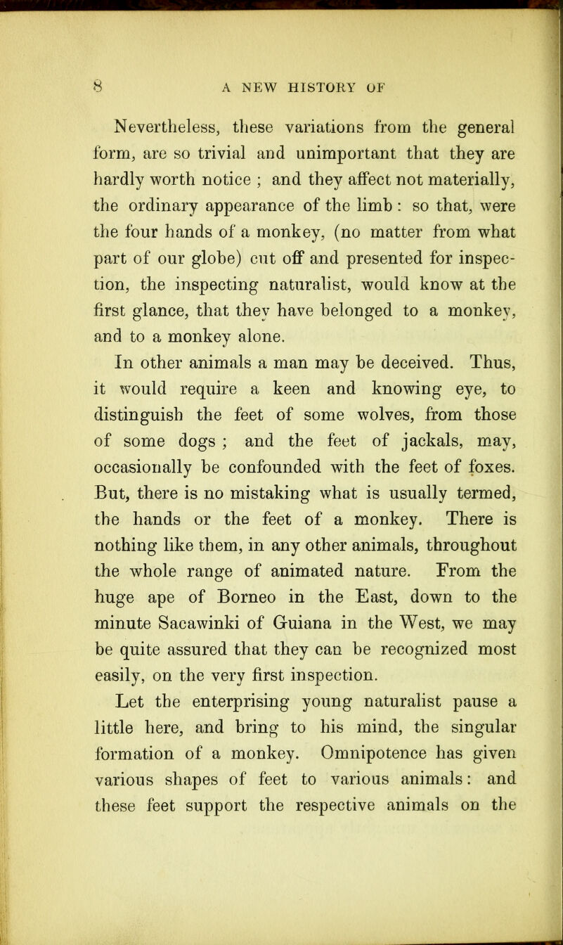 Nevertheless, these variations from the general form, are so trivial and unimportant that they are hardly worth notice ; and they affect not materially, the ordinary appearance of the limb : so that, were the four hands of a monkey, (no matter from what part of our globe) cut off and presented for inspec- tion, the inspecting naturalist, would know at the first glance, that they have belonged to a monkey, and to a monkey alone. In other animals a man may be deceived. Thus, it would require a keen and knowing eye, to distinguish the feet of some wolves, from those of some dogs ; and the feet of jackals, may, occasionally be confounded with the feet of foxes. But, there is no mistaking what is usually termed, the hands or the feet of a monkey. There is nothing like them, in any other animals, throughout the whole range of animated nature. From the huge ape of Borneo in the East, down to the minute Sacawinki of Guiana in the West, we may be quite assured that they can be recognized most easily, on the very first inspection. Let the enterprising young naturalist pause a little here, and bring to his mind, the singular formation of a monkey. Omnipotence has given various shapes of feet to various animals: and these feet support the respective animals on the