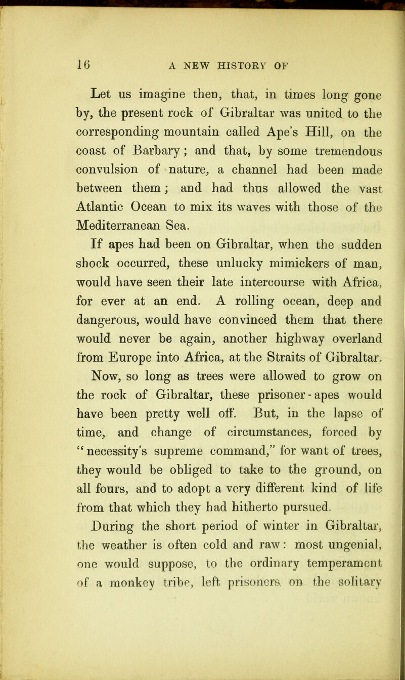 Let us imagine then, that, in times long gone by, the present rock of Gibraltar was united to the corresponding mountain called Ape’s Hill, on the coast of Barbary; and that, by some tremendous convulsion of nature, a channel had been made between them; and had thus allowed the vast Atlantic Ocean to mix its waves with those of the Mediterranean Sea. If apes had been on Gibraltar, when the sudden shock occurred, these unlucky mimickers of man, would have seen their late intercourse with Africa, for ever at an end. A rolling ocean, deep and dangerous, would have convinced them that there would never be again, another highway overland from Europe into Africa, at the Straits of Gibraltar. Now, so long as trees were allowed to grow on the rock of Gibraltar, these prisoner - apes would have been pretty well off. But, in the lapse of time, and change of circumstances, forced by cc necessity’s supreme command,” for want of trees, they would be obliged to take to the ground, on all fours, and to adopt a very different kind of life from that which they had hitherto pursued. During the short period of winter in Gibraltar, the weather is often cold and raw: most ungenial, one would suppose, to the ordinary temperament of a monkey tribe, left prisoners on the solitary