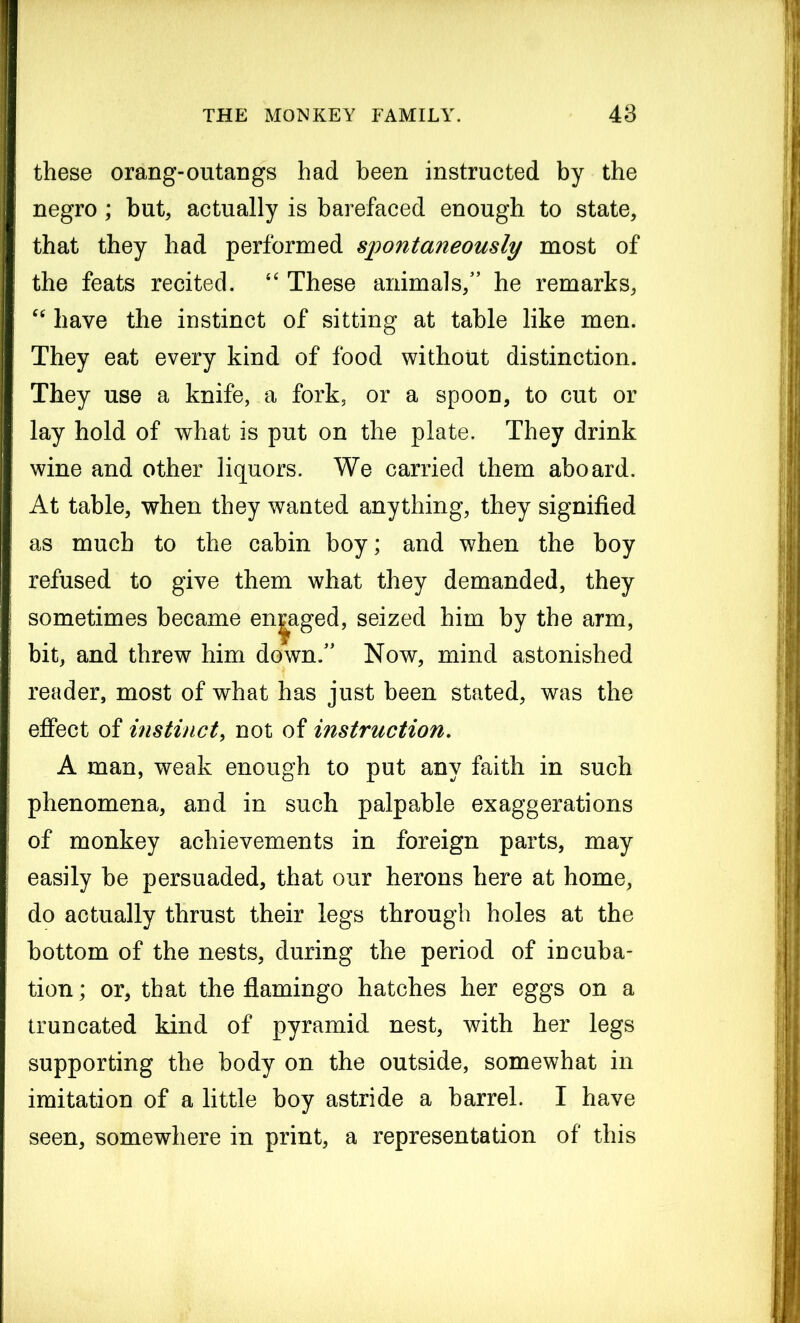 these orang-outangs had been instructed by the negro ; but, actually is barefaced enough to state, that they had performed spontaneously most of the feats recited. “ These animals,” he remarks, “ have the instinct of sitting at table like men. They eat every kind of food without distinction. They use a knife, a fork, or a spoon, to cut or lay hold of what is put on the plate. They drink wine and other liquors. We carried them aboard. At table, when they wanted anything, they signified as much to the cabin boy; and when the boy refused to give them what they demanded, they sometimes became engaged, seized him by the arm, bit, and threw him down.” Now, mind astonished reader, most of what has just been stated, was the effect of instinct, not of instruction. A man, weak enough to put any faith in such phenomena, and in such palpable exaggerations of monkey achievements in foreign parts, may easily be persuaded, that our herons here at home, do actually thrust their legs through holes at the bottom of the nests, during the period of incuba- tion; or, that the flamingo hatches her eggs on a truncated kind of pyramid nest, with her legs supporting the body on the outside, somewhat in imitation of a little boy astride a barrel. I have seen, somewhere in print, a representation of this