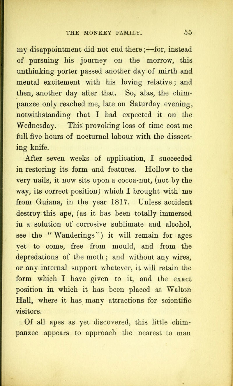 my disappointment did not end there;—for, instead of pursuing his journey on the morrow, this unthinking porter passed another day of mirth and mental excitement with his loving relative; and then, another day after that. So, alas, the chim- panzee only reached me, late on Saturday evening, notwithstanding that I had expected it on the Wednesday. This provoking loss of time cost me full five hours of nocturnal labour with the dissect- ing knife. After seven weeks of application, I succeeded in restoring its form and features. Hollow to the very nails, it now sits upon a cocoa-nut, (not by the way, its correct position) which I brought with me from Guiana, in the year 1817. Unless accident destroy this ape, (as it has been totally immersed in a solution of corrosive sublimate and alcohol, see the “ Wanderings) it will remain for ages yet to come, free from mould, and from the depredations of the moth; and without any wires, or any internal support whatever, it will retain the form which I have given to it, and the exact position in which it has been placed at Walton Hall, where it has many attractions for scientific visitors. Of all apes as yet discovered, this little chim- panzee appears to approach the nearest to man