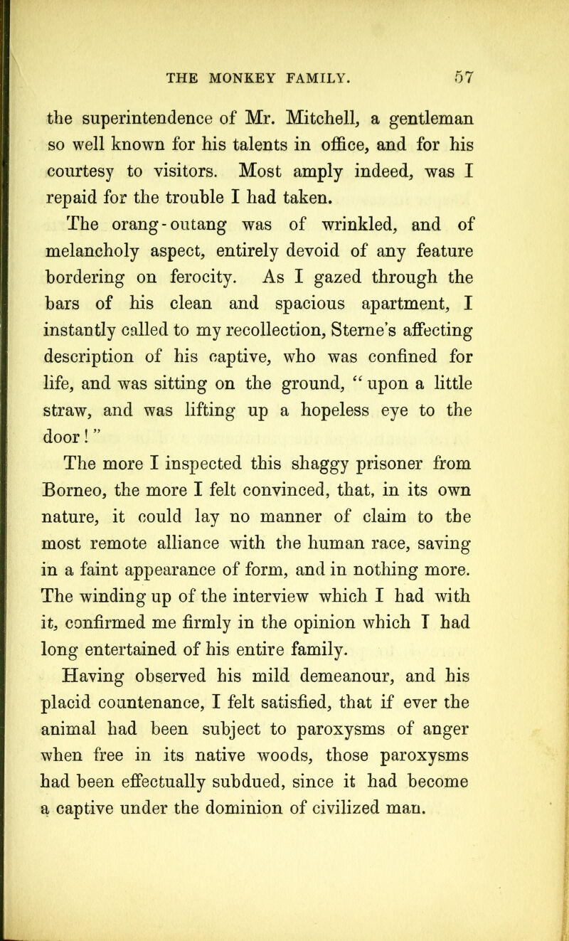 the superintendence of Mr. Mitchell, a gentleman so well known for his talents in office, and for his courtesy to visitors. Most amply indeed, was I repaid for the trouble I had taken. The orang-outang was of wrinkled, and of melancholy aspect, entirely devoid of any feature bordering on ferocity. As I gazed through the bars of his clean and spacious apartment, I instantly called to my recollection, Sterne’s affecting description of his captive, who was confined for life, and was sitting on the ground, “ upon a little straw, and was lifting up a hopeless eye to the door! ” The more I inspected this shaggy prisoner from Borneo, the more I felt convinced, that, in its own nature, it could lay no manner of claim to the most remote alliance with the human race, saving in a faint appearance of form, and in nothing more. The winding up of the interview which I had with it, confirmed me firmly in the opinion which T had long entertained of his entire family. Having observed his mild demeanour, and his placid countenance, I felt satisfied, that if ever the animal had been subject to paroxysms of anger when free in its native woods, those paroxysms had been effectually subdued, since it had become a captive under the dominion of civilized man.