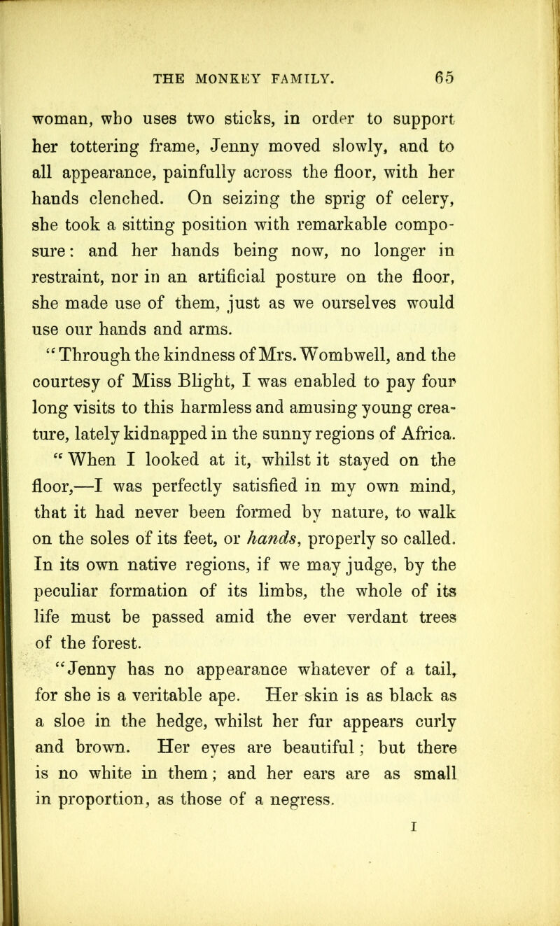 woman, who uses two sticks, in order to support her tottering frame, Jenny moved slowly, and to all appearance, painfully across the floor, with her hands clenched. On seizing the sprig of celery, she took a sitting position with remarkable compo- sure : and her hands being now, no longer in restraint, nor in an artificial posture on the floor, she made use of them, just as we ourselves would use our hands and arms. “ Through, the kindness of Mrs. Womb well, and the courtesy of Miss Blight, I was enabled to pay four long visits to this harmless and amusing young crea- ture, lately kidnapped in the sunny regions of Africa. “ When I looked at it, whilst it stayed on the floor,—I was perfectly satisfied in my own mind, that it had never been formed by nature, to walk on the soles of its feet, or hands, properly so called. In its own native regions, if we may judge, by the peculiar formation of its limbs, the whole of its life must be passed amid the ever verdant trees of the forest. “ Jenny has no appearance whatever of a tail* for she is a veritable ape. Her skin is as black as a sloe in the hedge, whilst her fur appears curly and brown. Her eyes are beautiful; but there is no white in them; and her ears are as small in proportion, as those of a negress. i