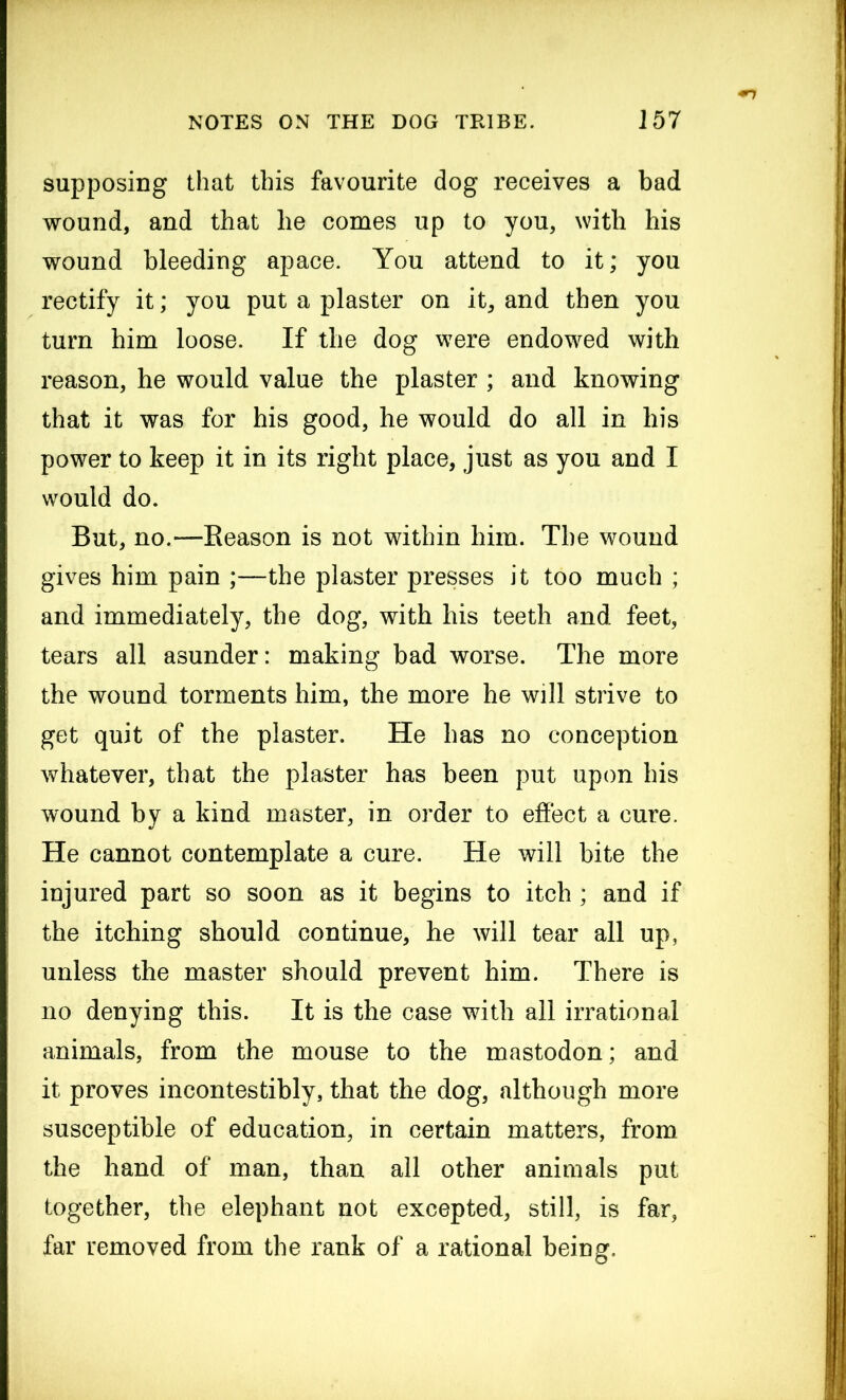 supposing that this favourite dog receives a bad wound, and that he comes up to you, with his wound bleeding apace. You attend to it; you rectify it; you put a plaster on it, and then you turn him loose. If the dog were endowed with reason, he would value the plaster ; and knowing that it was for his good, he would do all in his power to keep it in its right place, just as you and I would do. But, no.—Reason is not within him. The wound gives him pain ;—the plaster presses it too much ; and immediately, the dog, with his teeth and feet, tears all asunder: making bad worse. The more the wound torments him, the more he will strive to get quit of the plaster. He has no conception whatever, that the plaster has been put upon his wound by a kind master, in order to effect a cure. He cannot contemplate a cure. He will bite the injured part so soon as it begins to itch ; and if the itching should continue, he will tear all up, unless the master should prevent him. There is no denying this. It is the case with all irrational animals, from the mouse to the mastodon; and it proves incontestibly, that the dog, although more susceptible of education, in certain matters, from the hand of man, than all other animals put together, the elephant not excepted, still, is far, far removed from the rank of a rational being.