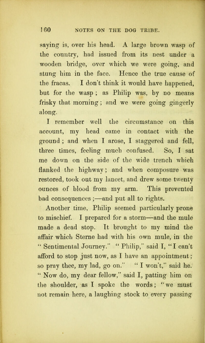 saying is, over his head. A large brown wasp of the country, had issued from its nest under a wooden bridge, over which we were going, and stung him in the face. Hence the true cause of the fracas. I don’t think it would have happened, but for the wasp ; as Philip was, by no means frisky that morning; and we were going gingerly along. I remember well the circumstance on this account, my head came in contact with the ground ; and when I arose, I staggered and fell, three times, feeling much confused. So, I sat me down on the side of the wide trench which flanked the highway; and when composure vras restored, took out my lancet, and drew some twenty ounces of blood from my arm. This prevented bad consequences ;—and put all to rights. Another time, Philip seemed particularly prone to mischief. I prepared for a storm—and the mule made a dead stop. It brought to my mind the affair which Sterne had with his own mule, in the “ Sentimental Journey.” “ Philip,” said I, “I cant afford to stop just now, as I have an appointment; so pray thee, my lad, go on.” “ I won t,” said he. “ Now do, my dear fellow,” said I, patting him on the shoulder, as I spoke the words; “we must not remain here, a laughing stock to every passing