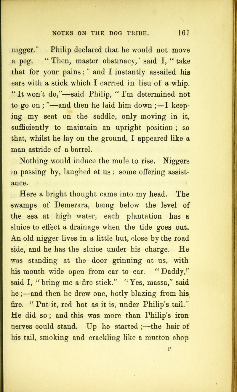 nigger/' Philip declared that he would not move a peg. “ Then, master obstinacy/’ said I, “ take that for your pains;” and I instantly assailed his ears with a stick which I carried in lieu of a whip. “ It won’t do/’—said Philip, “ Pm determined not to go on; ”—and then he laid him down ;—I keep- ing my seat on the saddle, only moving in it, sufficiently to maintain an upright position ; so that, whilst he lay on the ground, I appeared like a man astride of a barrel. Nothing would induce the mule to rise. Niggers in passing by, laughed at us ; some offering assist- ance. Here a bright thought came into my head. The swamps of Demerara, being below the level of the sea at high water, each plantation has a sluice to effect a drainage when the tide goes out. An old nigger lives in a little hut, close by the road side, and he has the sluice under his charge. He was standing at the door grinning at us, with his mouth wide open from ear to ear. “ Daddy/’ said I, “bring me a fire stick.” “Yes, massa,” said heand then he drew one, hotly blazing from his fire. “ Put it, red hot as it is, under Philip’s tail.” He did so; and this was more than Philip’s iron nerves could stand. Up he started the hair of his tail, smoking and crackling like a mutton chop p