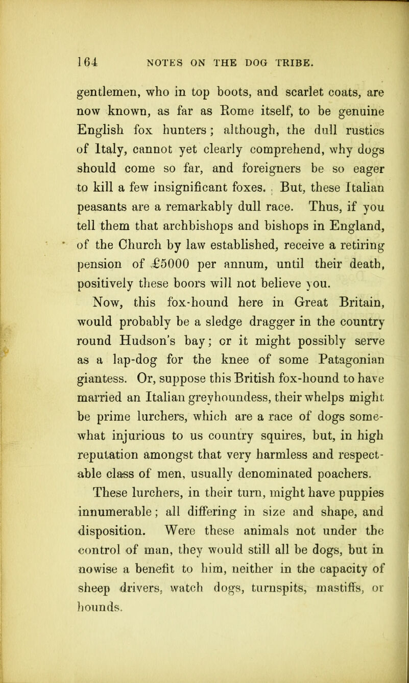 gentlemen, who in top boots, and scarlet coats, are now known, as far as Rome itself, to be genuine English fox hunters; although, the dull rustics of Italy, cannot yet clearly comprehend, why dogs should come so far, and foreigners be so eager to kill a few insignificant foxes. But, these Italian peasants are a remarkably dull race. Thus, if you tell them that archbishops and bishops in England, of the Church by law established, receive a retiring pension of £5000 per annum, until their death, positively these boors will not believe you. Now, this fox-hound here in Great Britain, would probably be a sledge dragger in the country round Hudson’s bay; or it might possibly serve as a lap-dog for the knee of some Patagonian giantess. Or, suppose this British fox-hound to have married an Italian grevhoundess, their whelps might be prime lurchers, which are a race of dogs some- what injurious to us country squires, but, in high reputation amongst that very harmless and respect- able cla-ss of men, usually denominated poachers. These lurchers, in their turn, might have puppies innumerable; all differing in size and shape, and disposition. Were these animals not under the control of man, they would still all be dogs, but in nowise a benefit to him, neither in the capacity of sheep drivers, watch dogs, turnspits, mastiffs, or hounds.