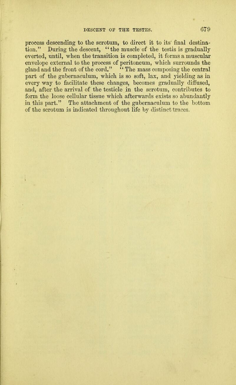 process descending to the scrotum, to direct it to its' final destina- tion. During the descent, the muscle of the testis is gradually everted, until, when the transition is completed, it forms a muscular envelope external to the process of peritoneum, which surrounds the gland and the front of the cord.  The mass composing the central part of the gubernaculum, which is so soft, lax, and yielding as in every way to facilitate these changes, becomes gradually diffused, and, after the arrival of the testicle in the scrotum, contributes to form the loose cellular tissue which afterwards exists so abundantly in this part. The attachment of the gubernaculum to the bottom of the scrotum is indicated throughout life by distinct traces.